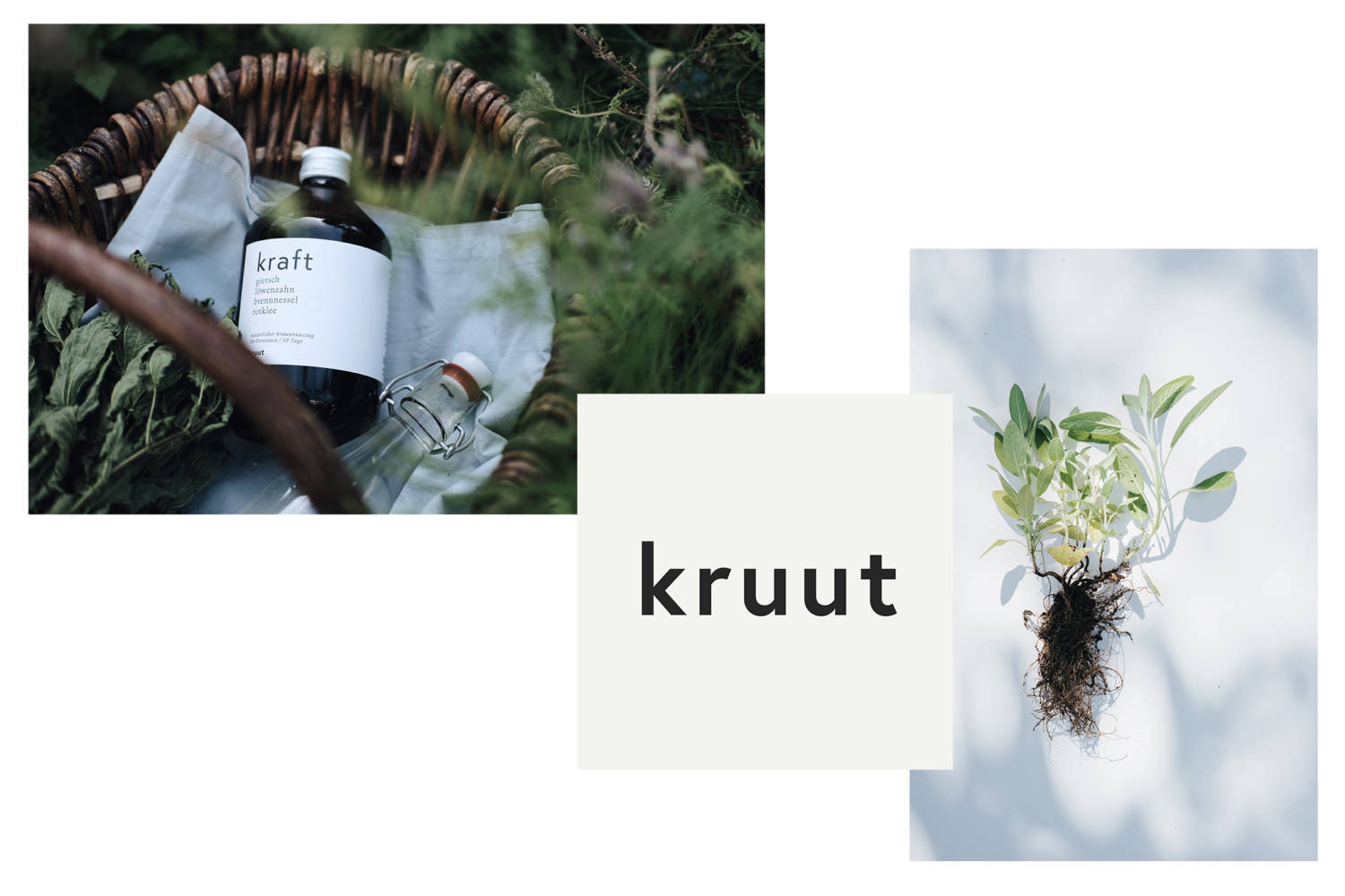 Ein Korb mit einer Flasche und Kräutern, daneben eine Pflanze auf weißem Hintergrund und der Schriftzug "kruut".