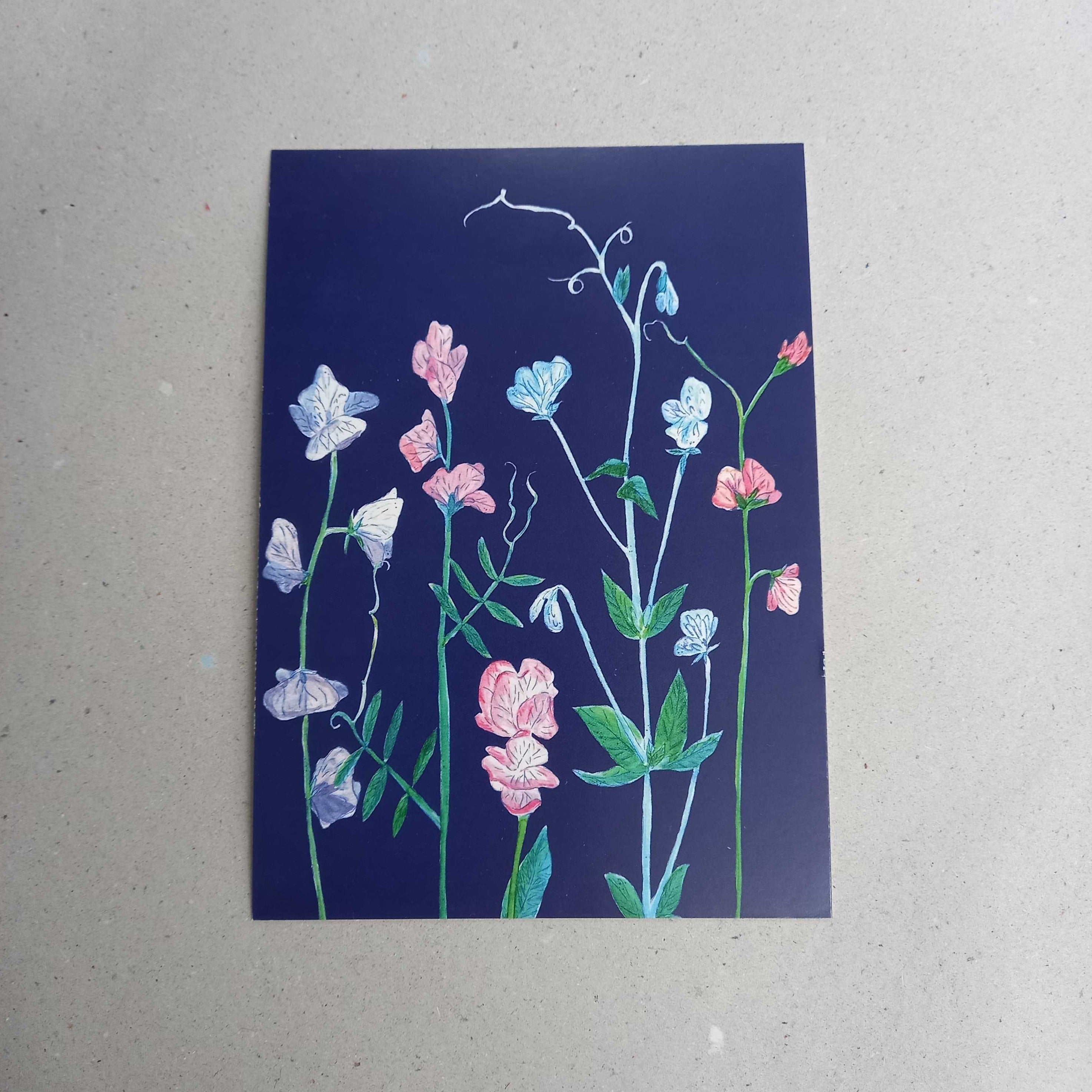 wonder of today Postkarte Wicken DIN A6