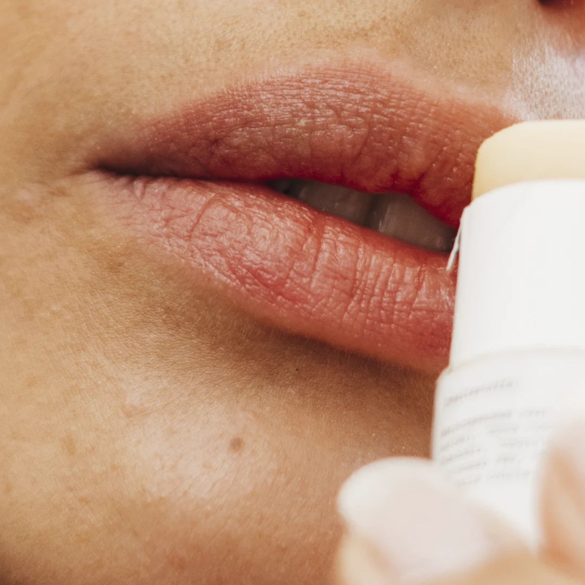 PlantBase Lippenpflege "Kokos" 10 g