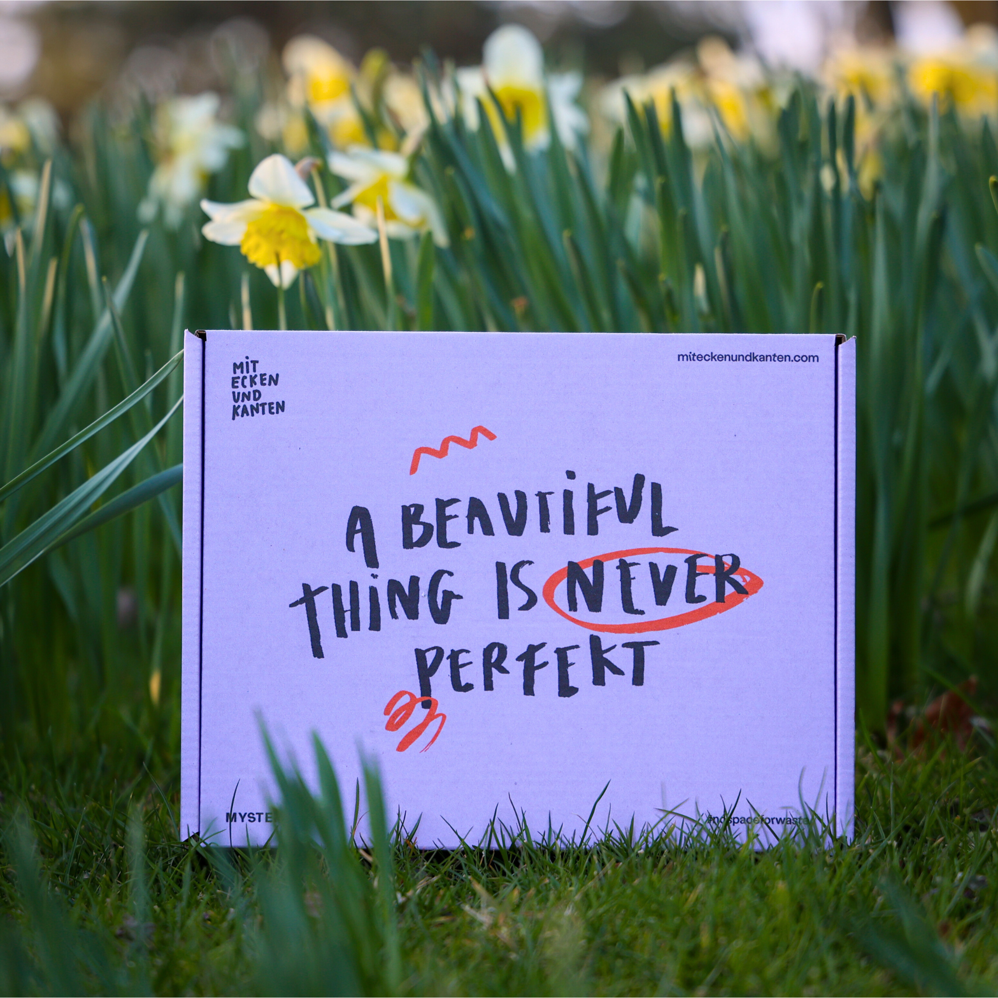 Ein Karton mit der Aufschrift "A beautiful thing is never perfekt" steht in einem Feld mit gelben Narzissen.