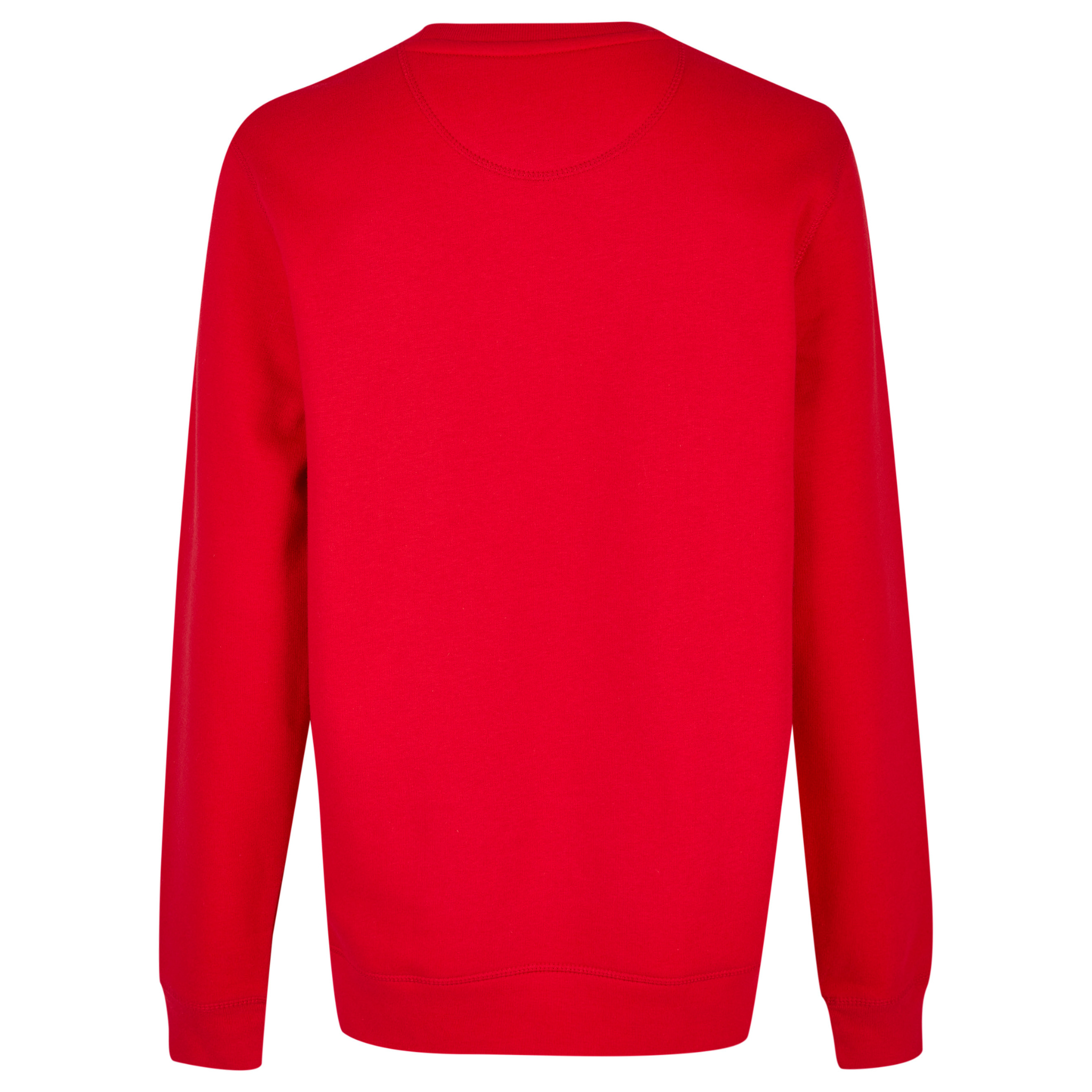 Roter Pullover mit langen Ärmeln und einem schlichten Design, von hinten zu sehen.