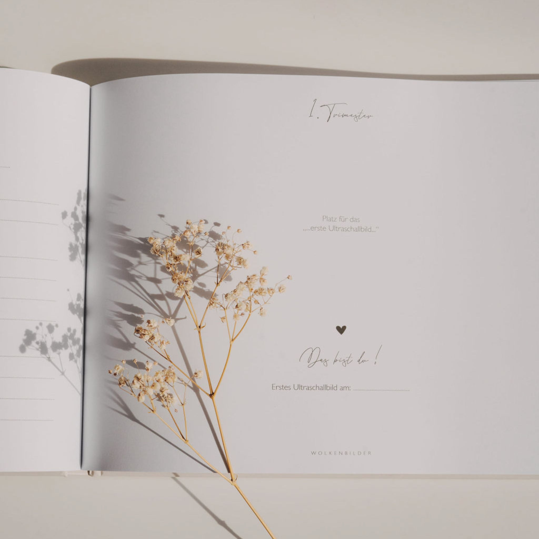 Offenes Buch mit Trockenblumen auf einer Seite, Platz für ein Ultraschallbild des ersten Trimesters.