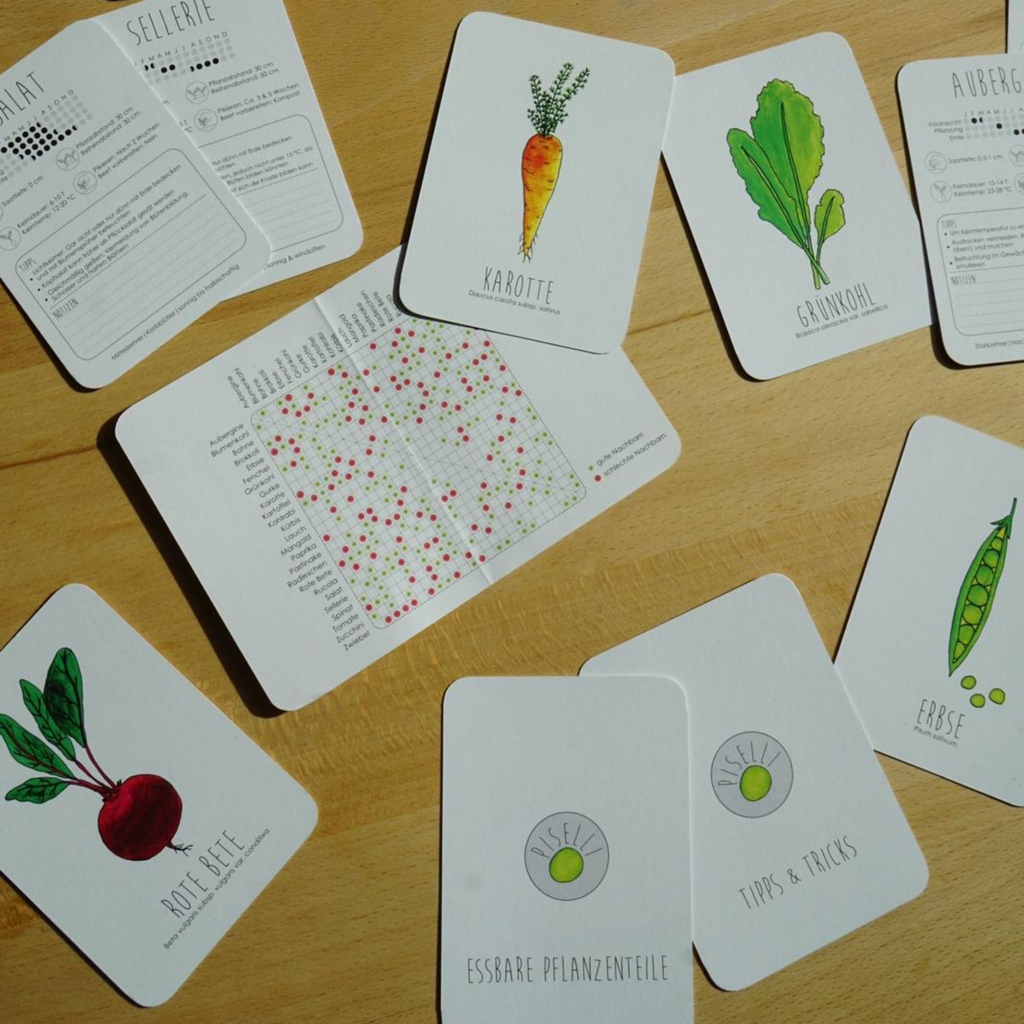 Auf einer hölzernen Unterlage sind mehrere illustrierte Karten ausgebreitet, auf denen bunte Zeichnungen von Gemüse wie Karotten, Rote Bete, Erbsen und Grünzeug zu sehen sind. Einige Karten sind mit deutschem Text und Pflanzendiagrammen versehen, während andere Tipps oder Informationen bieten.