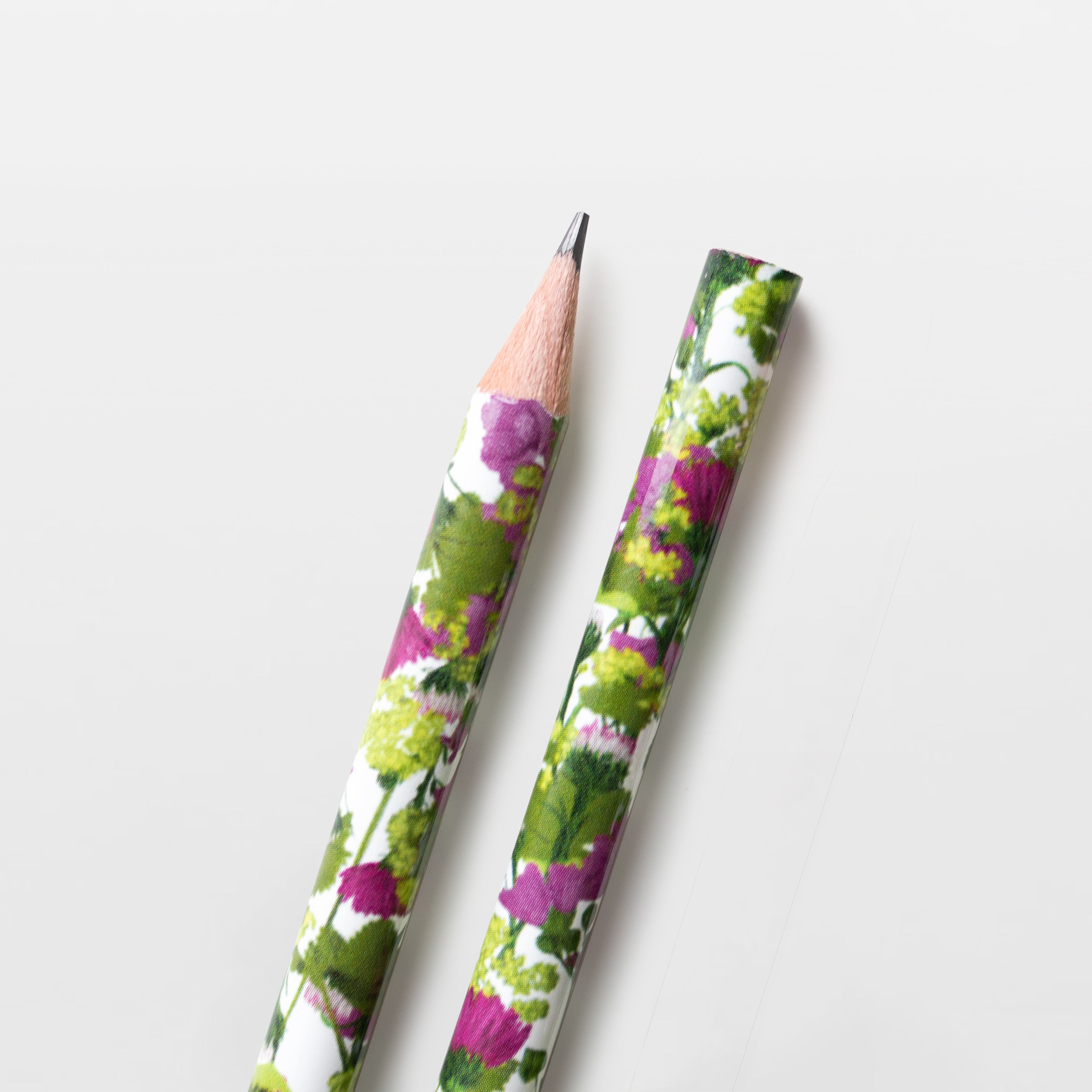 Wildblumen Atelier Bleistift Blumen