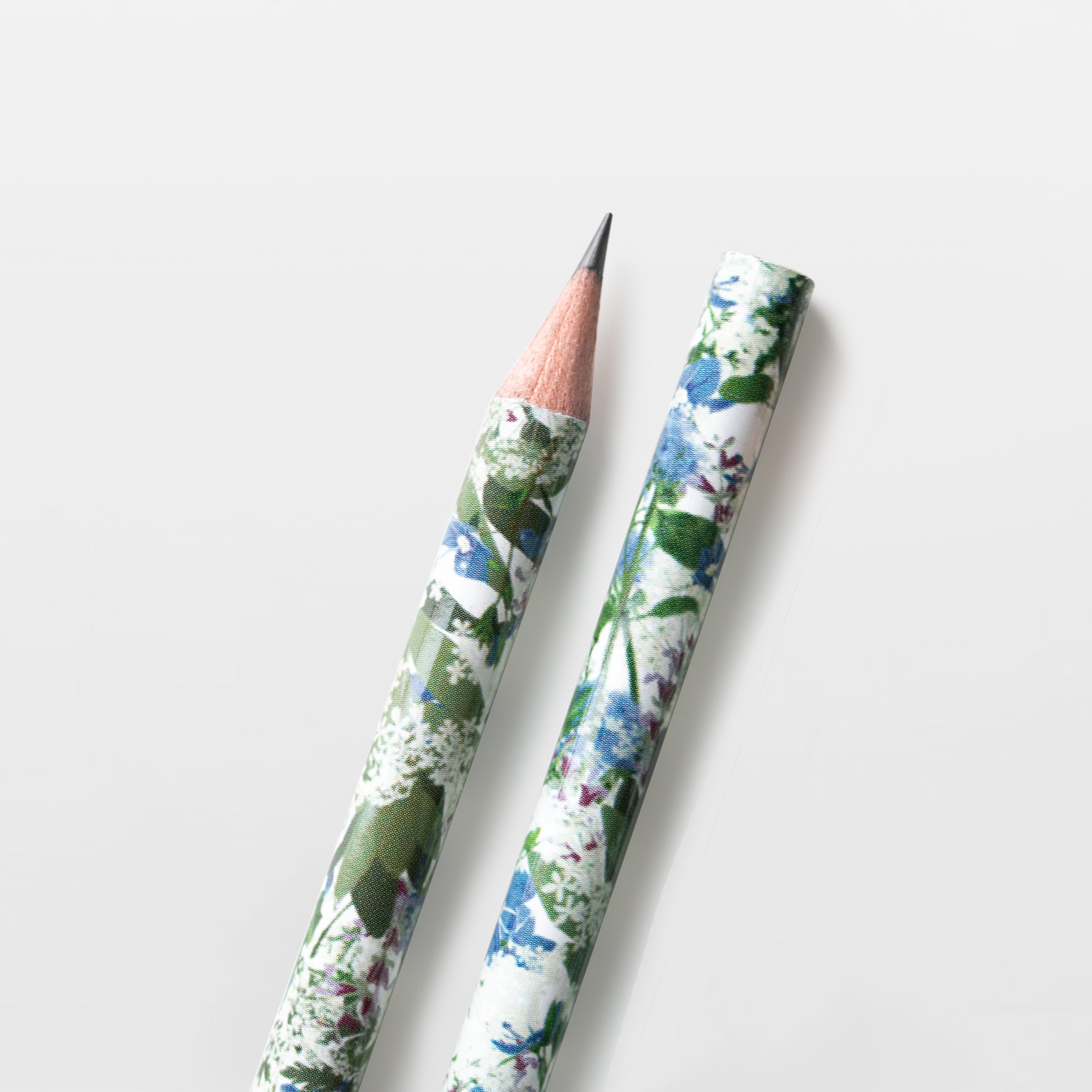 Wildblumen Atelier Bleistift Blumen