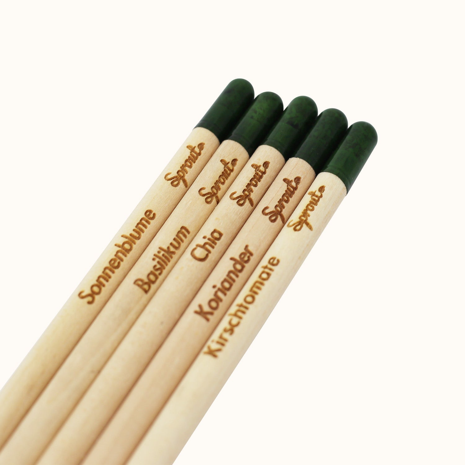 Naturalou Bleistift zum Einpflanzen von Sprout Vergissmeinnicht