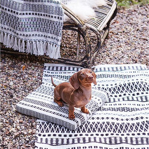 Ein kleiner brauner Dackelwelpe sitzt auf einem gemusterten schwarz-weißen Kissen auf einem passenden Teppich im Freien, neben einem Rattanstuhl mit einer Fransendecke. Kieselsteine bedecken den Boden.