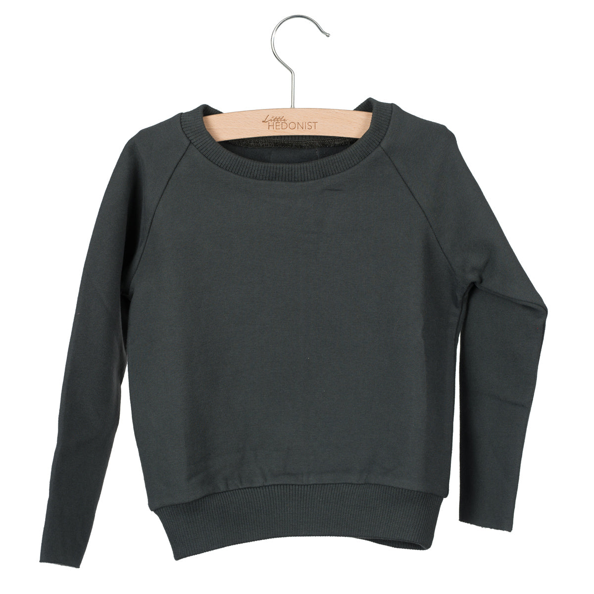 Ein dunkelgrünes langärmeliges Sweatshirt mit Rundhalsausschnitt hängt an einem Holzbügel mit einem Metallhaken. Das Sweatshirt hat gerippte Bündchen und einen gerippten Saum und ist vor einem weißen Hintergrund abgebildet.