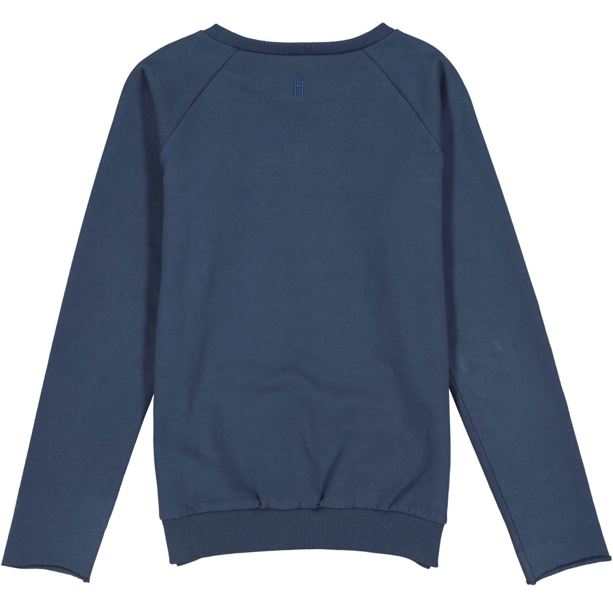 Ein schlichtes navyblaues Langarm-Sweatshirt von hinten gesehen, mit gerippten Bündchen, Saum und Halsausschnitt, mit einfachen Nähten und ohne sichtbare Logos oder Muster.
