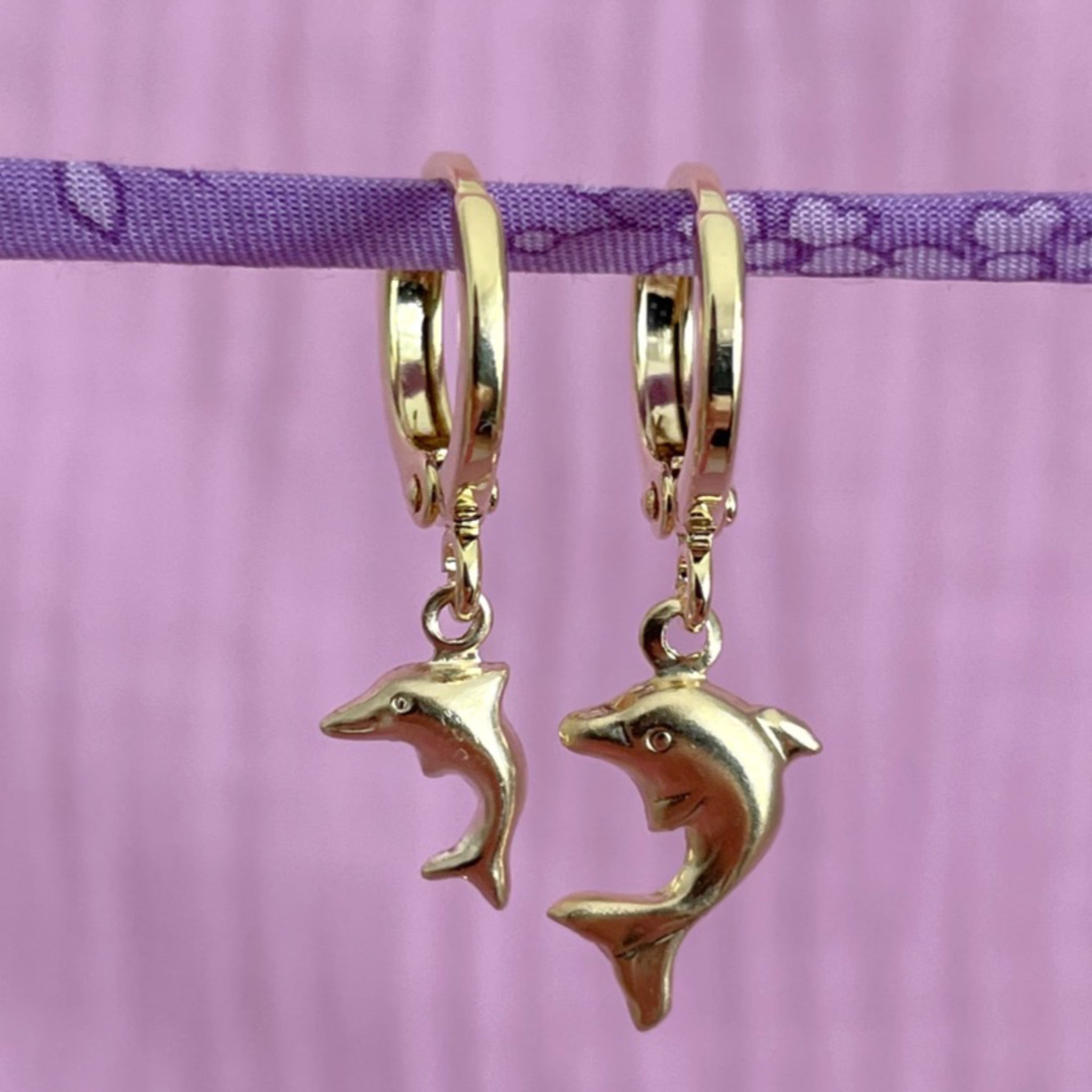 Hola Amor Estudios "Dolphin Hoop"