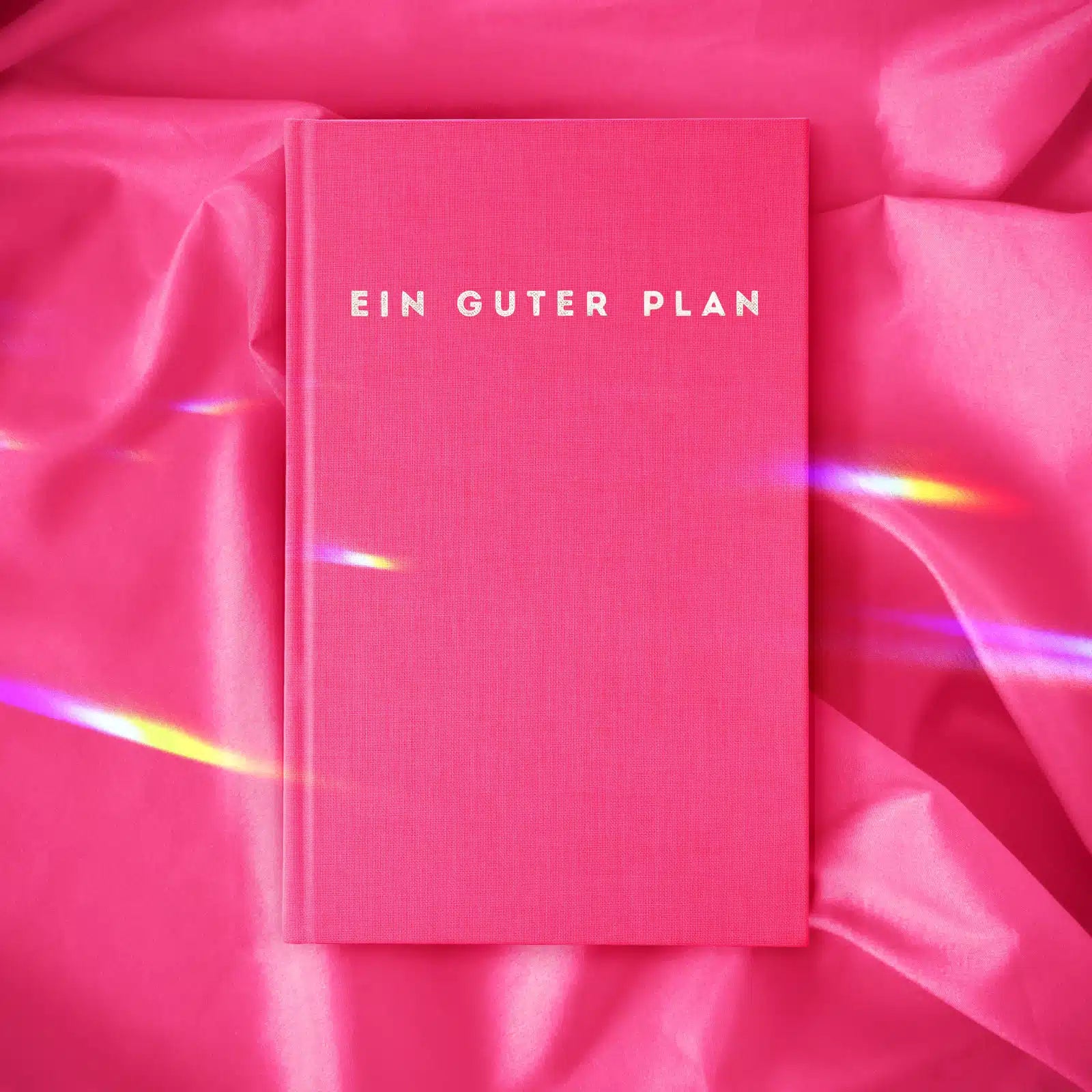 Ein guter Plan "2024" Flamingo