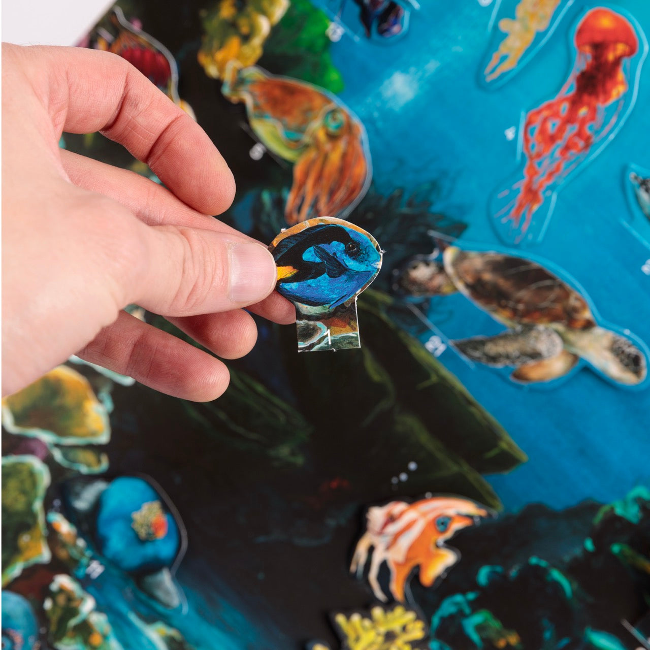 Eine Hand hält ein kleines, ausgeschnittenes Papierstück mit der Illustration eines blauen Fisches vor einer bunten Unterwassertafel mit verschiedenen Meeresbewohnern.