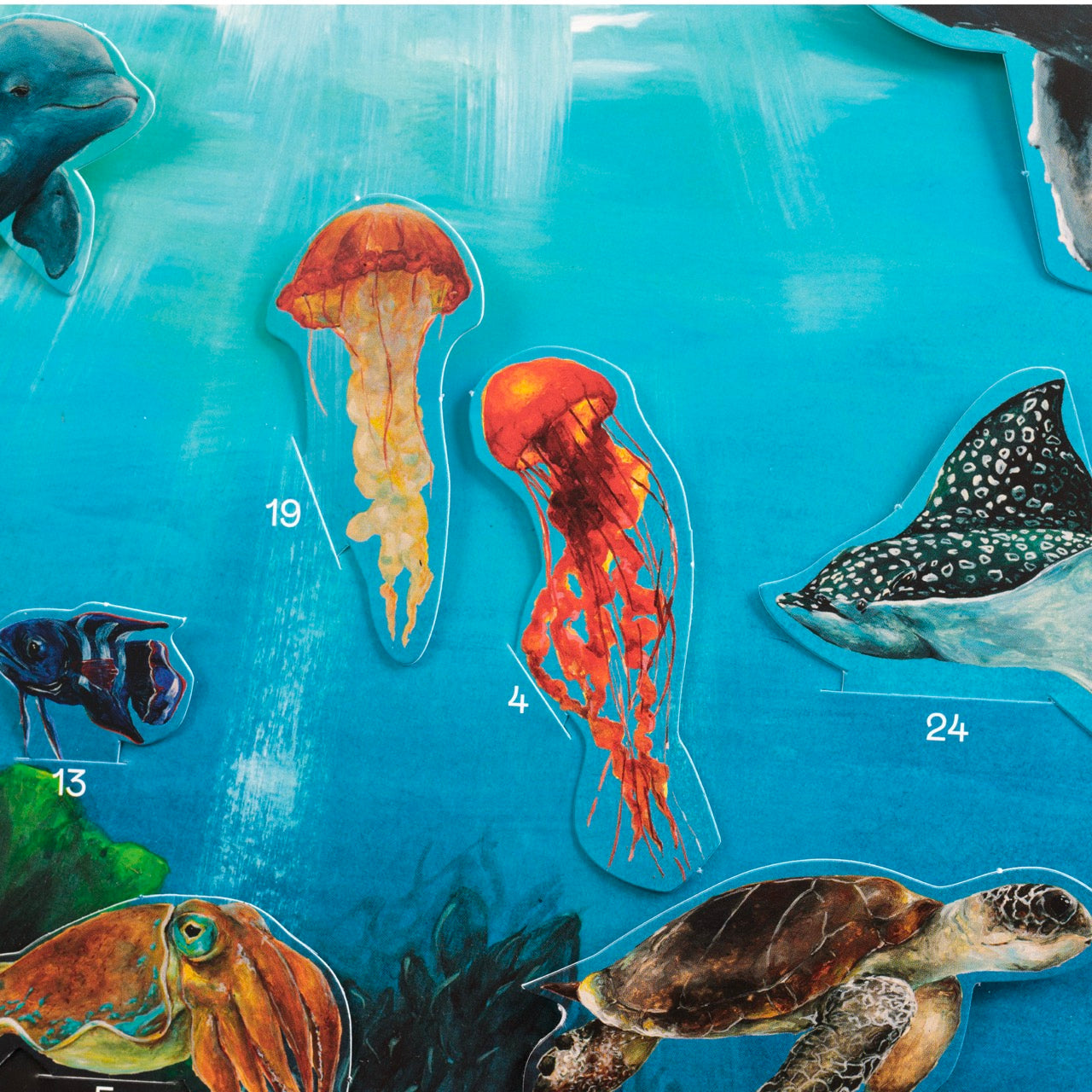 Zwei bunte Quallen schwimmen in blauem Wasser, umgeben von Zeichnungen anderer Meerestiere, darunter ein Rochen, eine Schildkröte, ein Tintenfisch und ein Fisch. Einige Tiere sind mit Zahlen beschriftet. Das Sonnenlicht fällt von oben ein.
