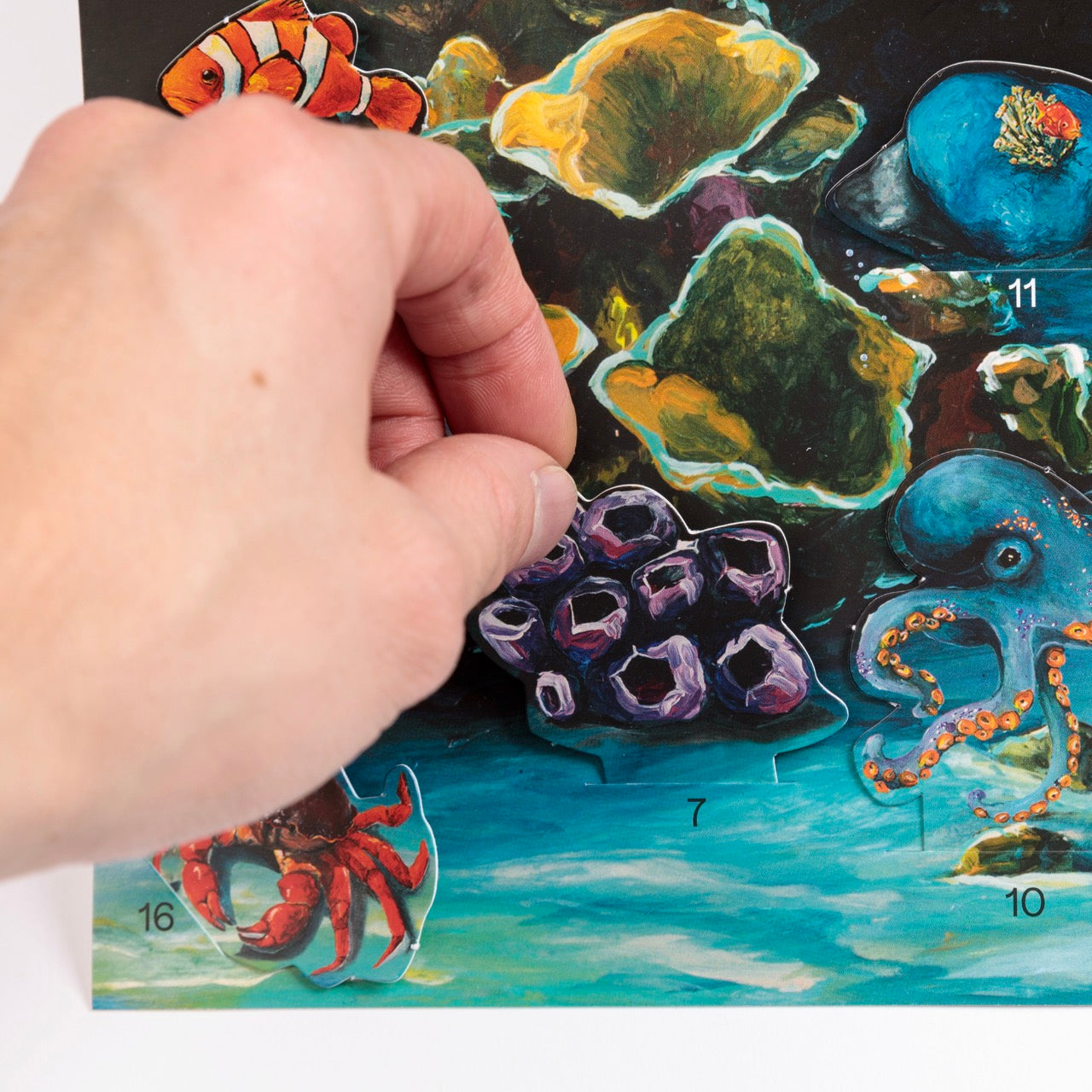 Eine Hand öffnet eine nummerierte Klappe eines farbenfrohen Adventskalenders mit Meeresmotiven, darunter ein Clownfisch, ein Oktopus, Korallen und ein Einsiedlerkrebs.