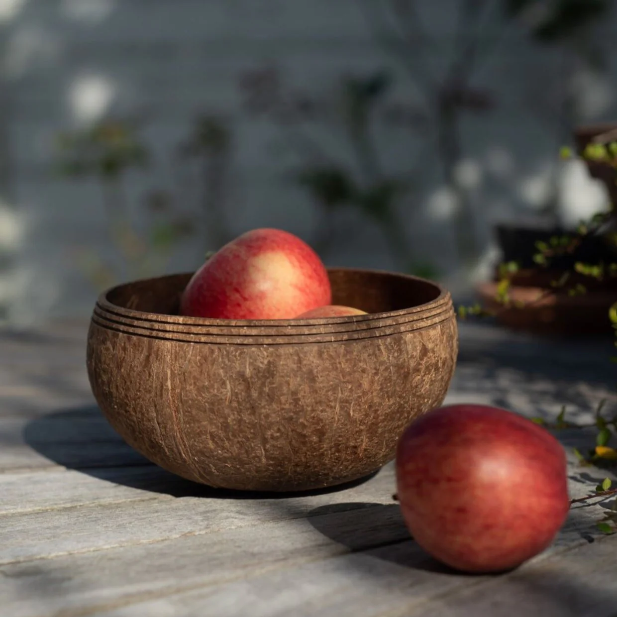Holzschale mit zwei roten Äpfeln auf einem Holztisch im Freien, daneben ein weiterer Apfel.