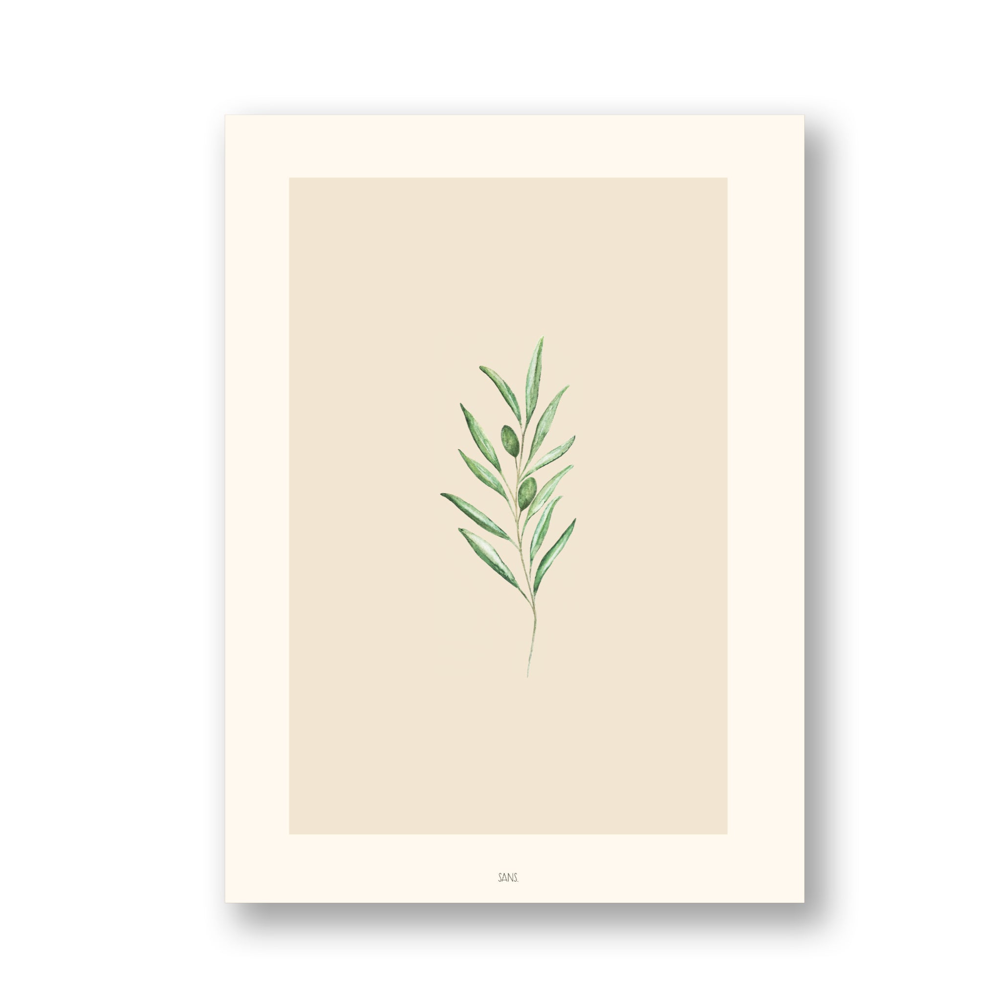 Minimalistische Illustration eines grünen Olivenzweigs mit Blättern, zentriert auf einem beigen Rechteck mit weißem Rand, alles vor einem weißen Hintergrund.