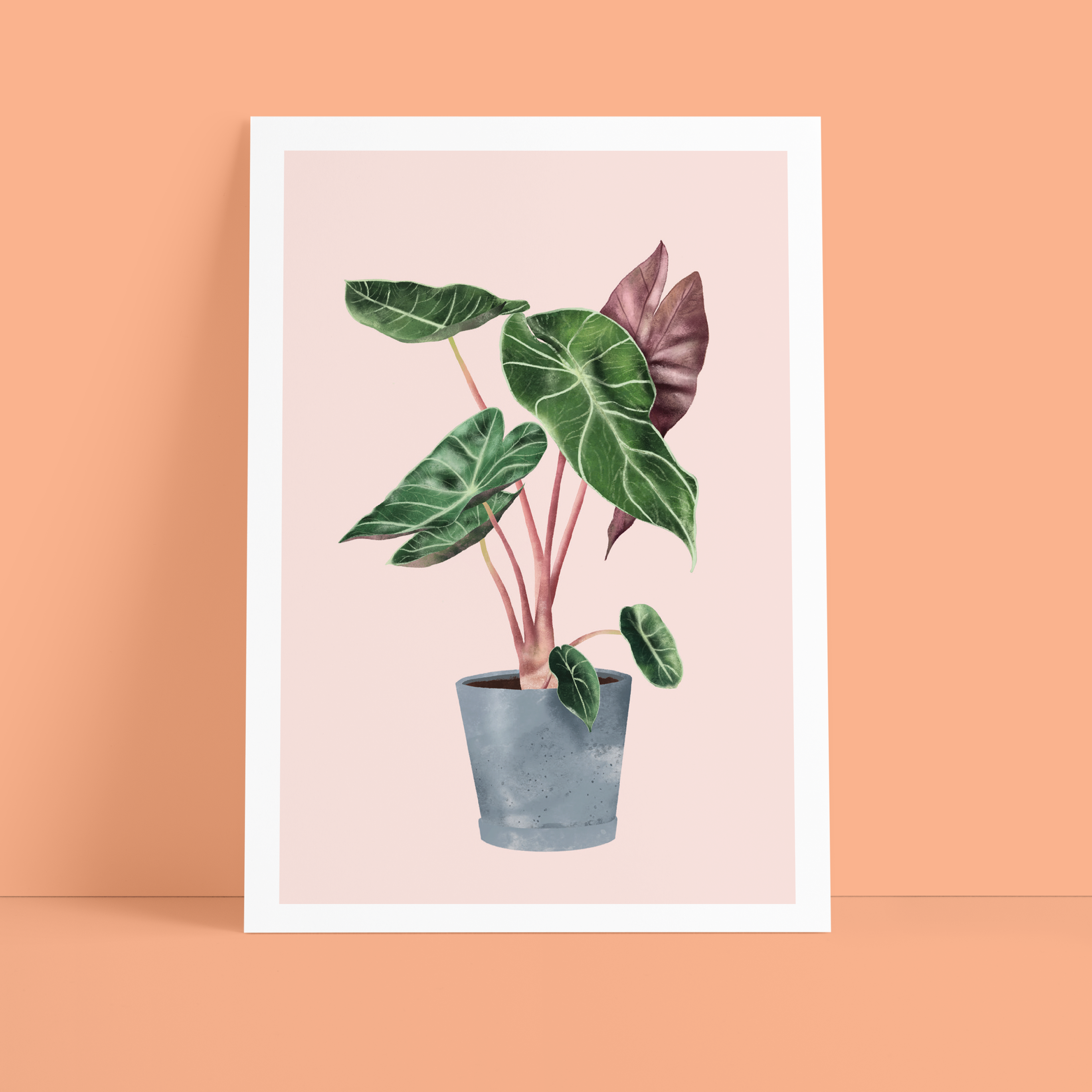 Studio Danii Postkarte DIN A6