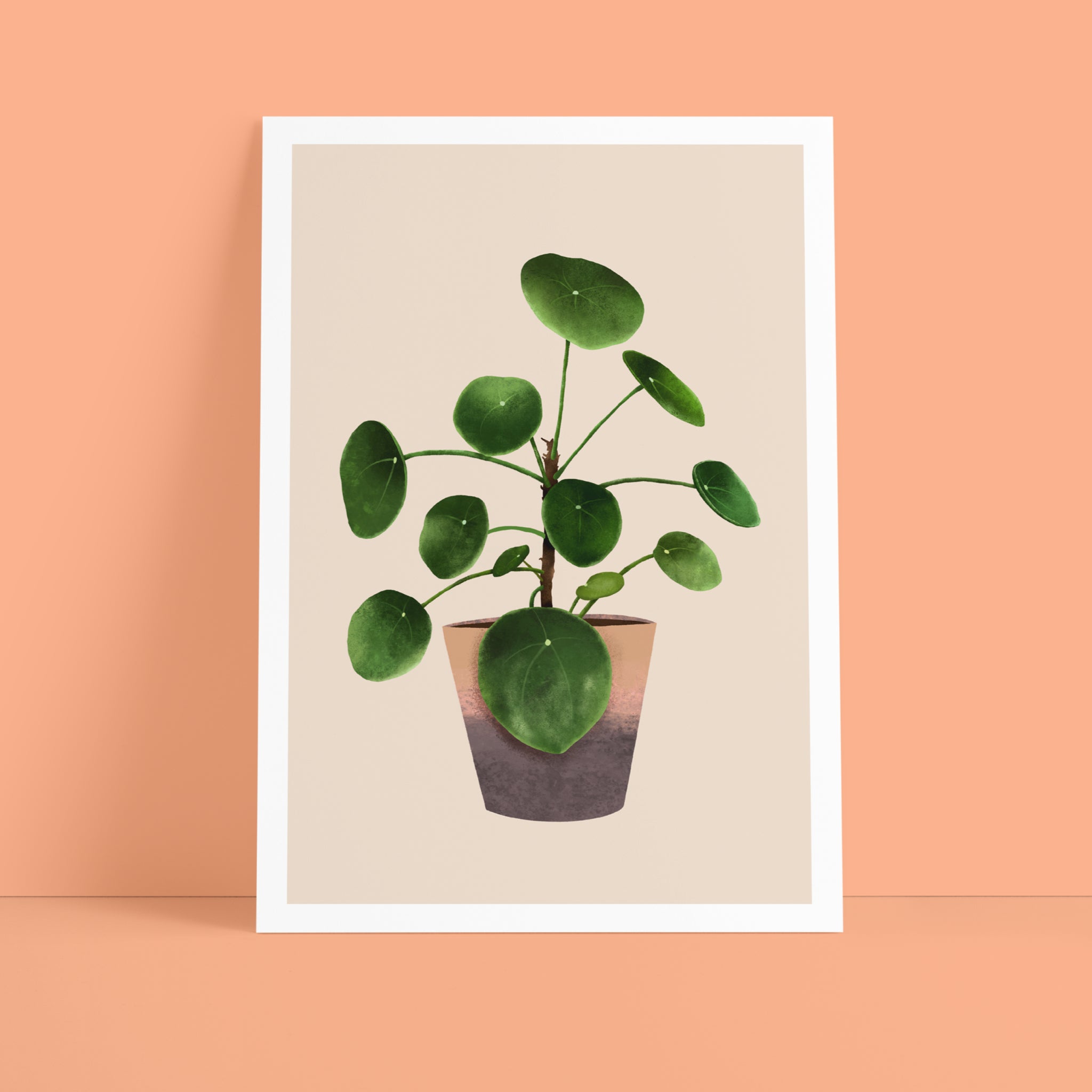 Ein gerahmter Druck mit einer Illustration einer Topfpflanze mit runden grünen Blättern vor einem hellbeigen Hintergrund, die auf einer pfirsichfarbenen Fläche mit einer passenden pfirsichfarbenen Wand dahinter steht.