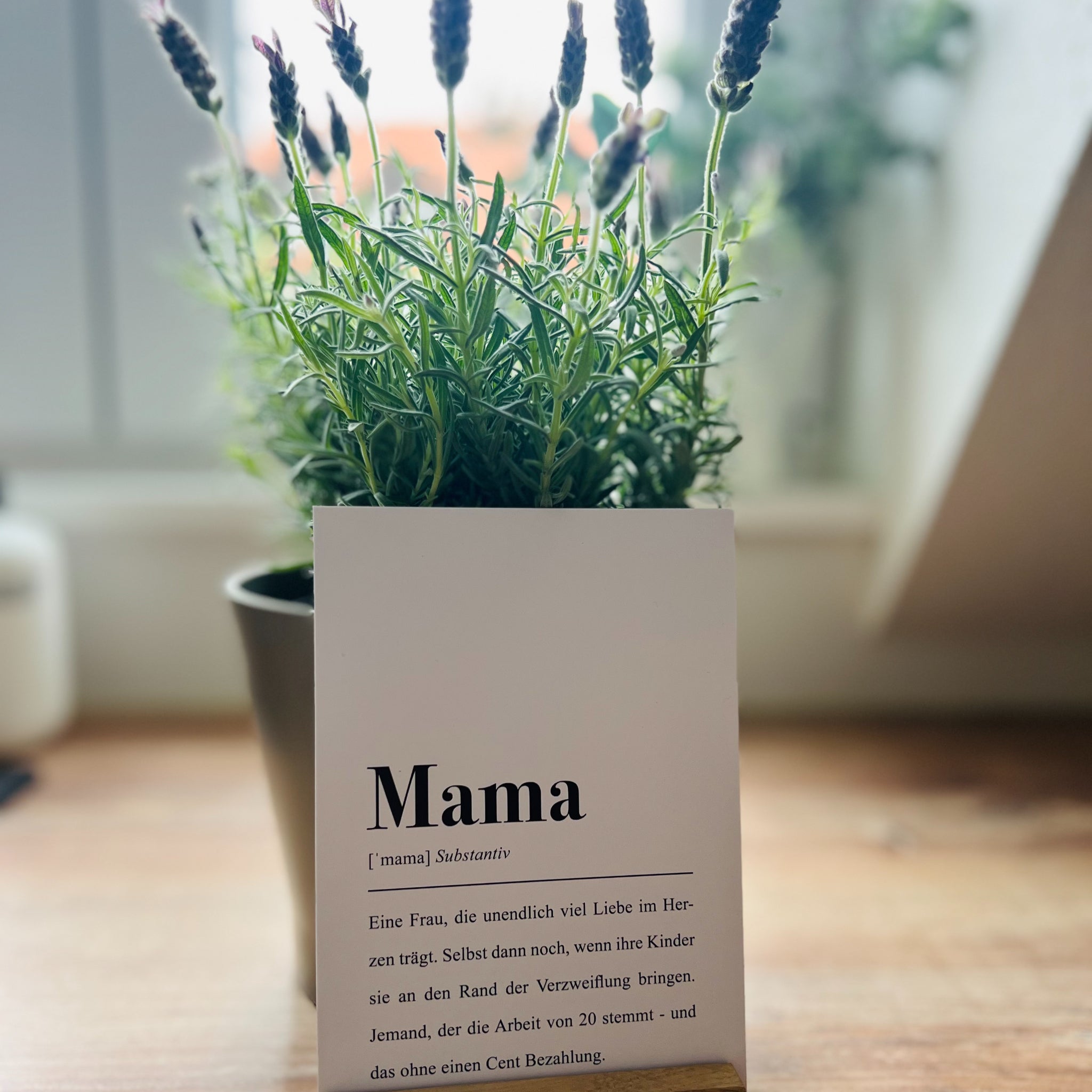 Eine Topfpflanze steht auf einem Tisch vor einem Fenster, daneben eine Karte mit der Definition von "Mama" auf Deutsch.
