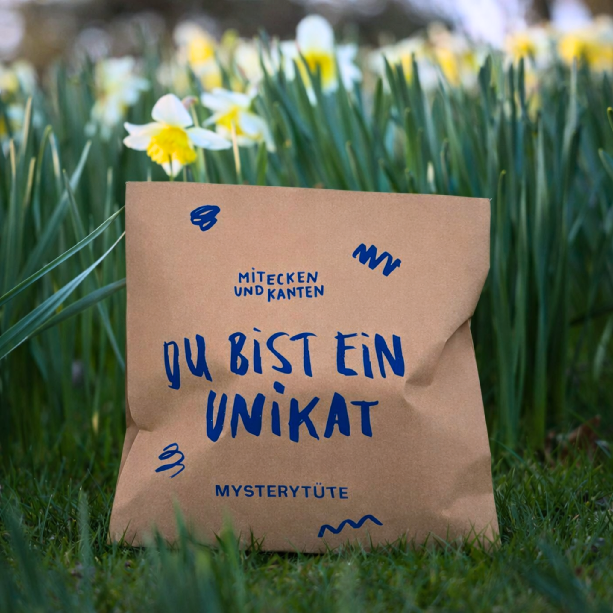 Eine braune Papiertüte mit blauem Text auf Deutsch sitzt inmitten von hohem grünen Gras und blühenden Narzissen. Der Text lautet "Du bist ein Unikat" und "Mysterytüte", mit verspielten blauen Kritzeleien um die Worte herum.
