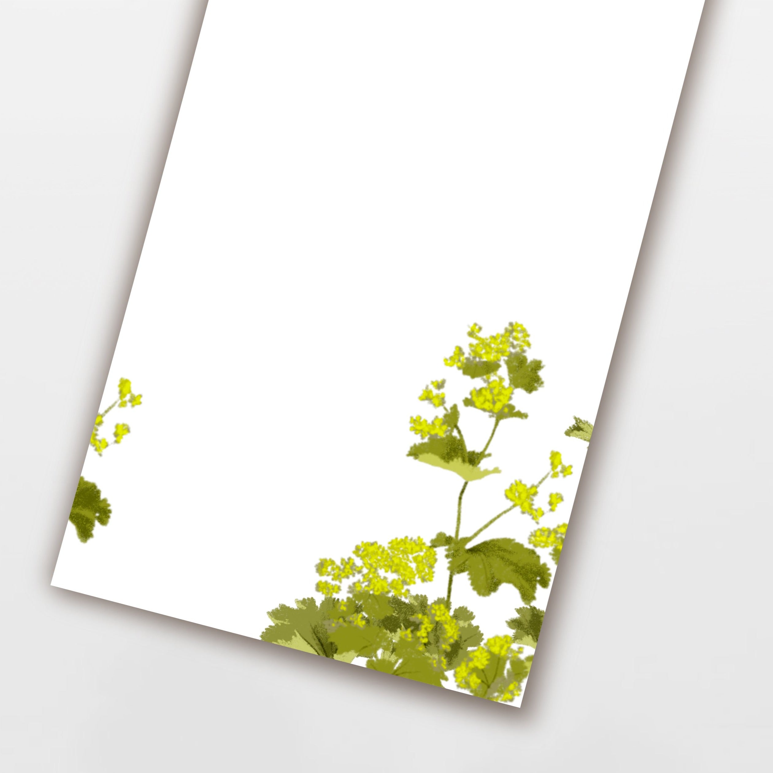 Wildblumen Atelier Notizblock Gelber Frauenmantel