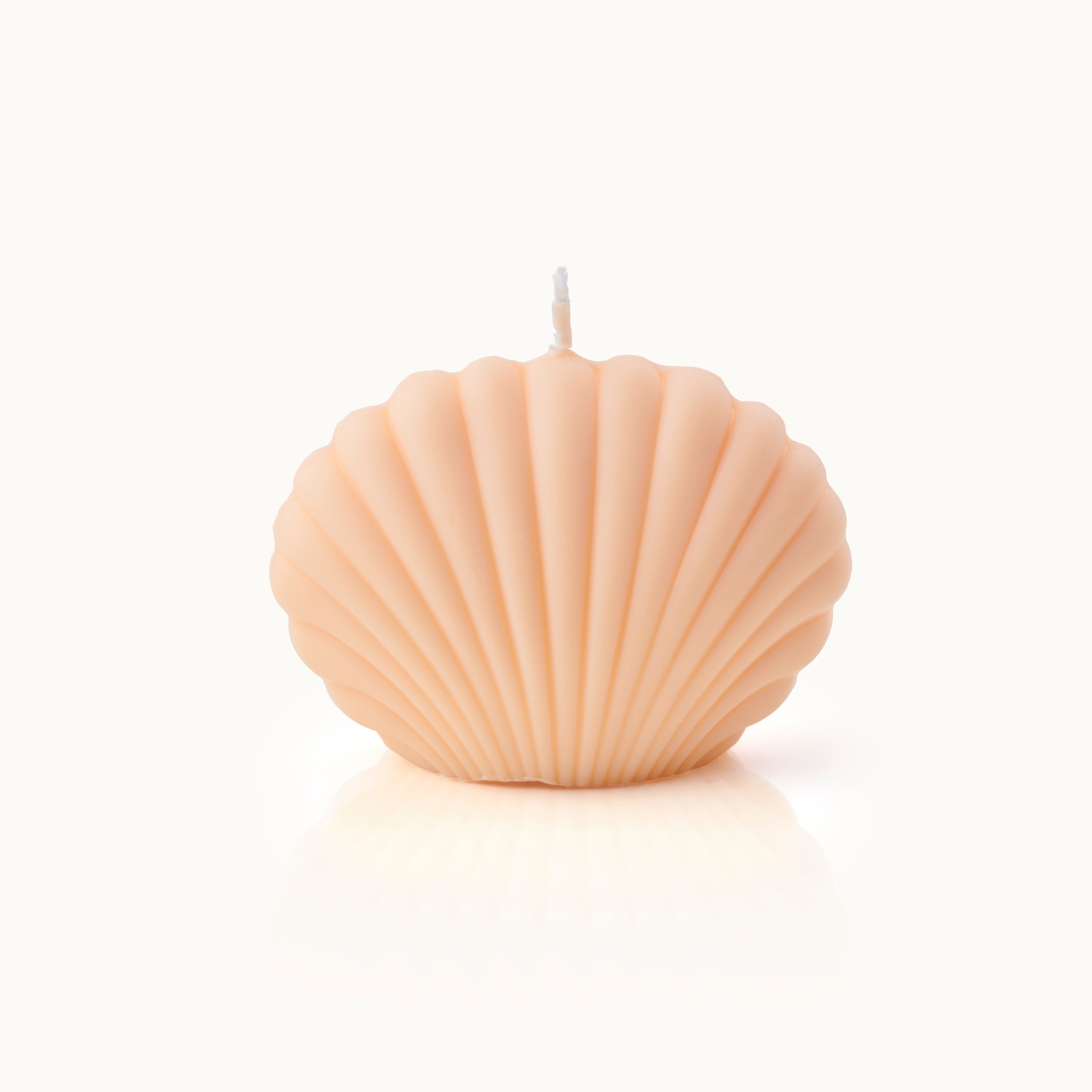 Beige Kerze in Form einer Muschel, auf weißem Hintergrund.