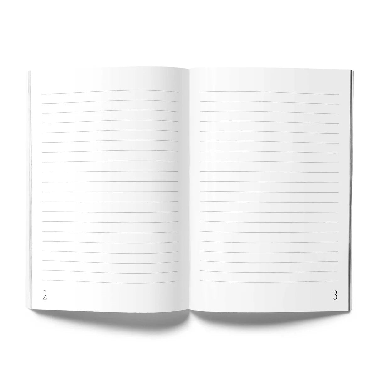 Offenes Notizbuch mit linierten Seiten, nummeriert als 2 und 3.