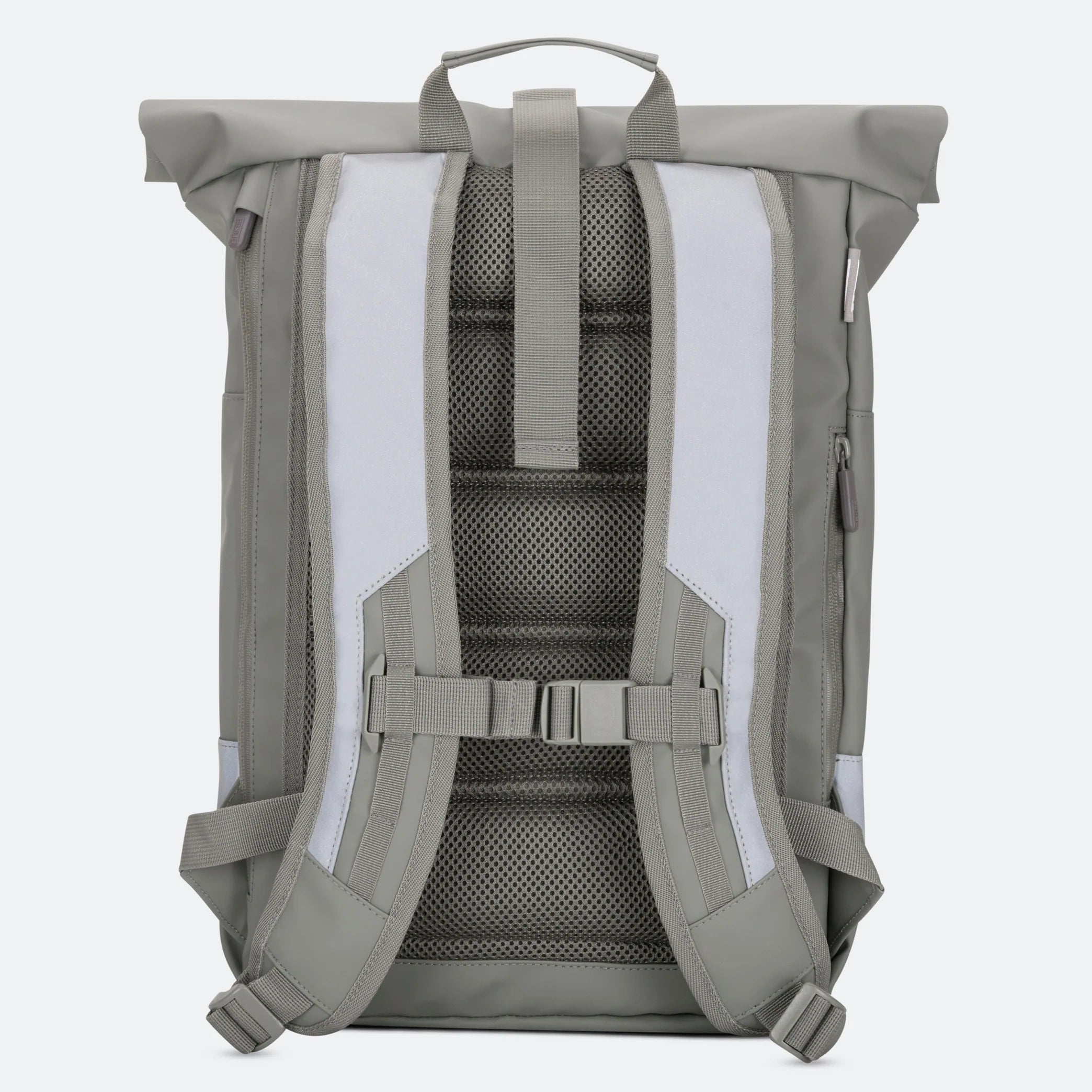 Grauer Rolltop-Rucksack in Rückenansicht mit gepolsterten Schultergurten, oberem Tragegriff, Netzrückenpolsterung, verstellbarem Brustgurt und seitlichen Kompressionsriemen vor einem schlichten, hellen Hintergrund.