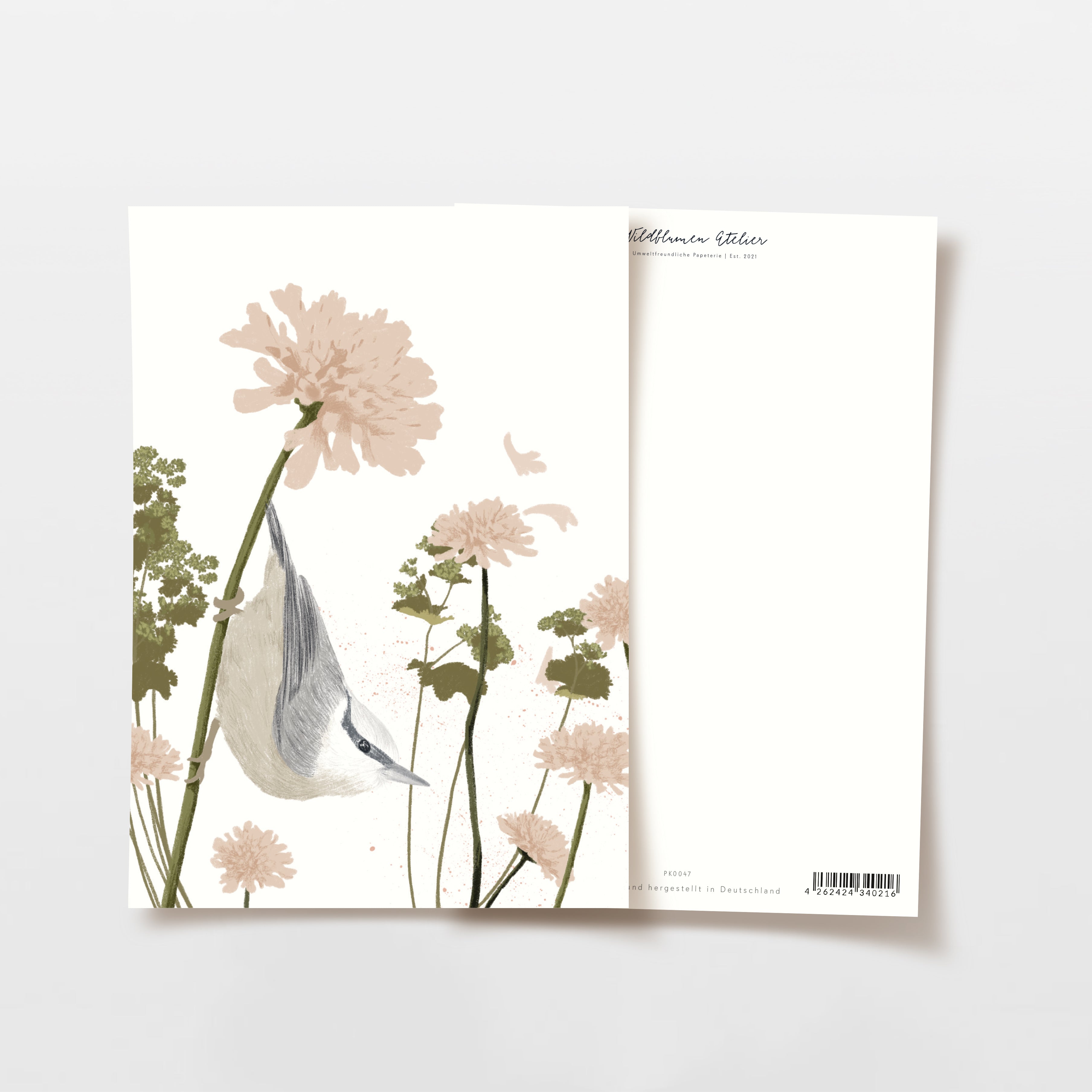 Illustration einer Meise, die kopfüber an einem Blütenstiel hängt, vor einem weißen Hintergrund.