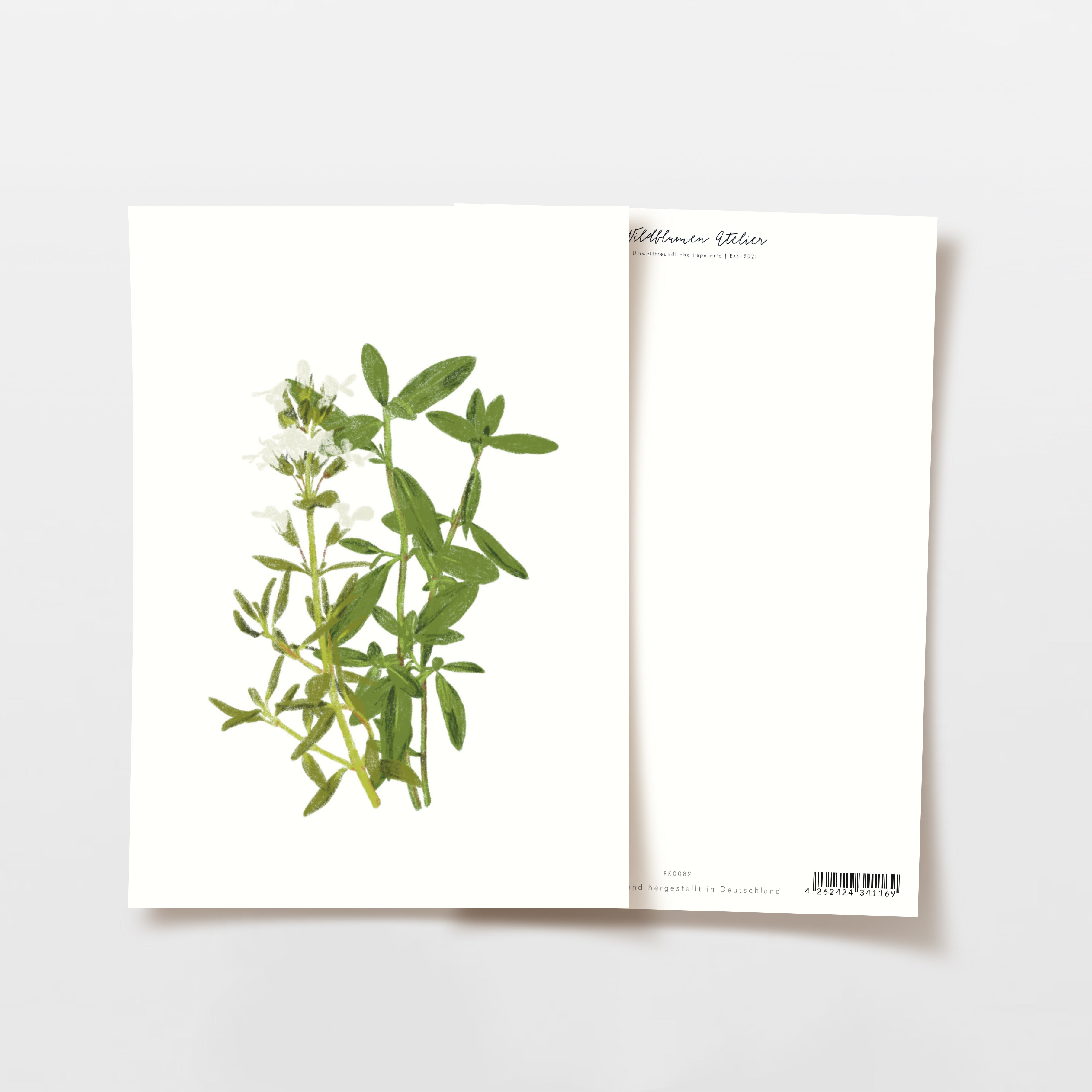 Illustration eines Kräuterzweigs mit grünen Blättern und kleinen weißen Blüten auf einer Karte, daneben eine Rückseite.