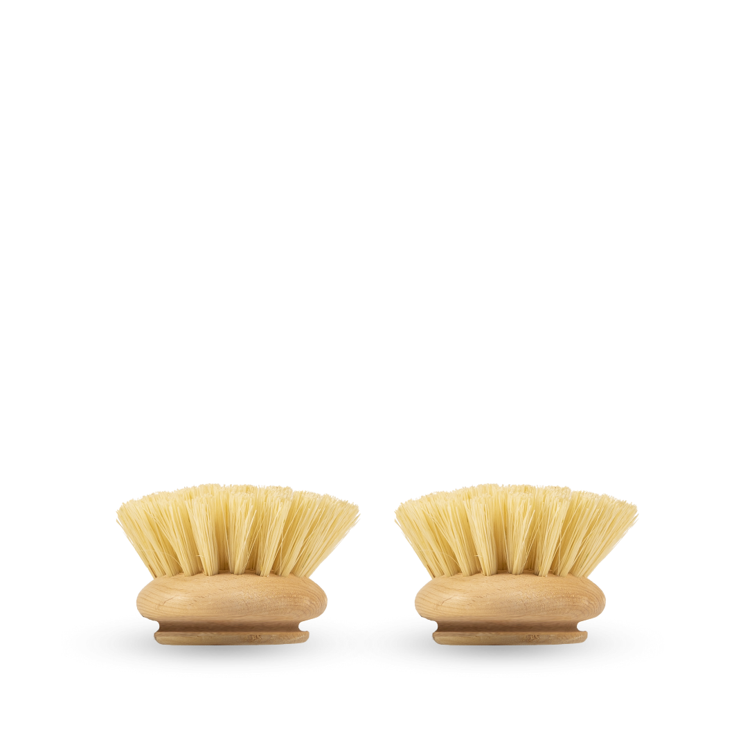 Zwei kleine runde hölzerne Schrubber mit hellen Borsten sind nebeneinander auf einem schlichten weißen Hintergrund platziert.
