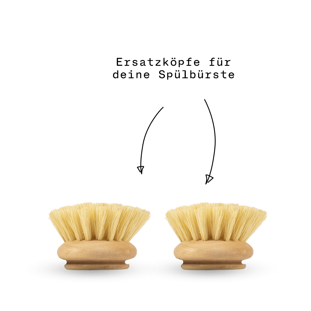 Zwei runde hölzerne Schrubberköpfe mit dichten, hellen Borsten sind nebeneinander auf einem schlichten weißen Hintergrund angebracht.
