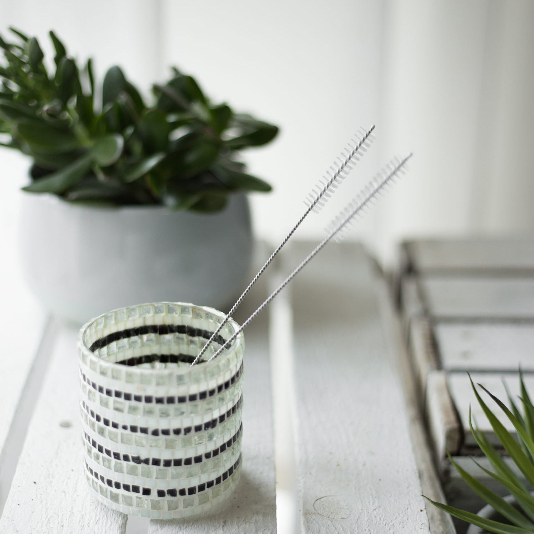 Glasbehälter mit Streifenmuster und zwei schmalen Bürsten; dahinter grüne Pflanze in weißem Blumentopf auf Holztisch.