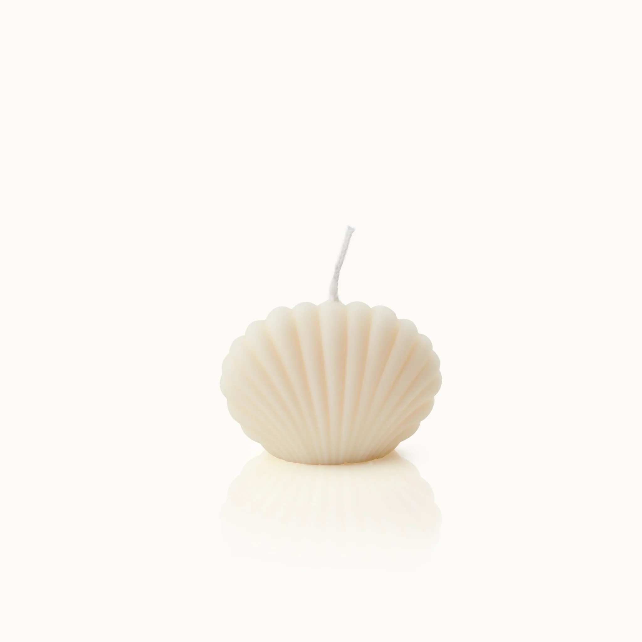 Weiße Kerze in Muschelform mit Docht, vor einem hellen Hintergrund platziert.