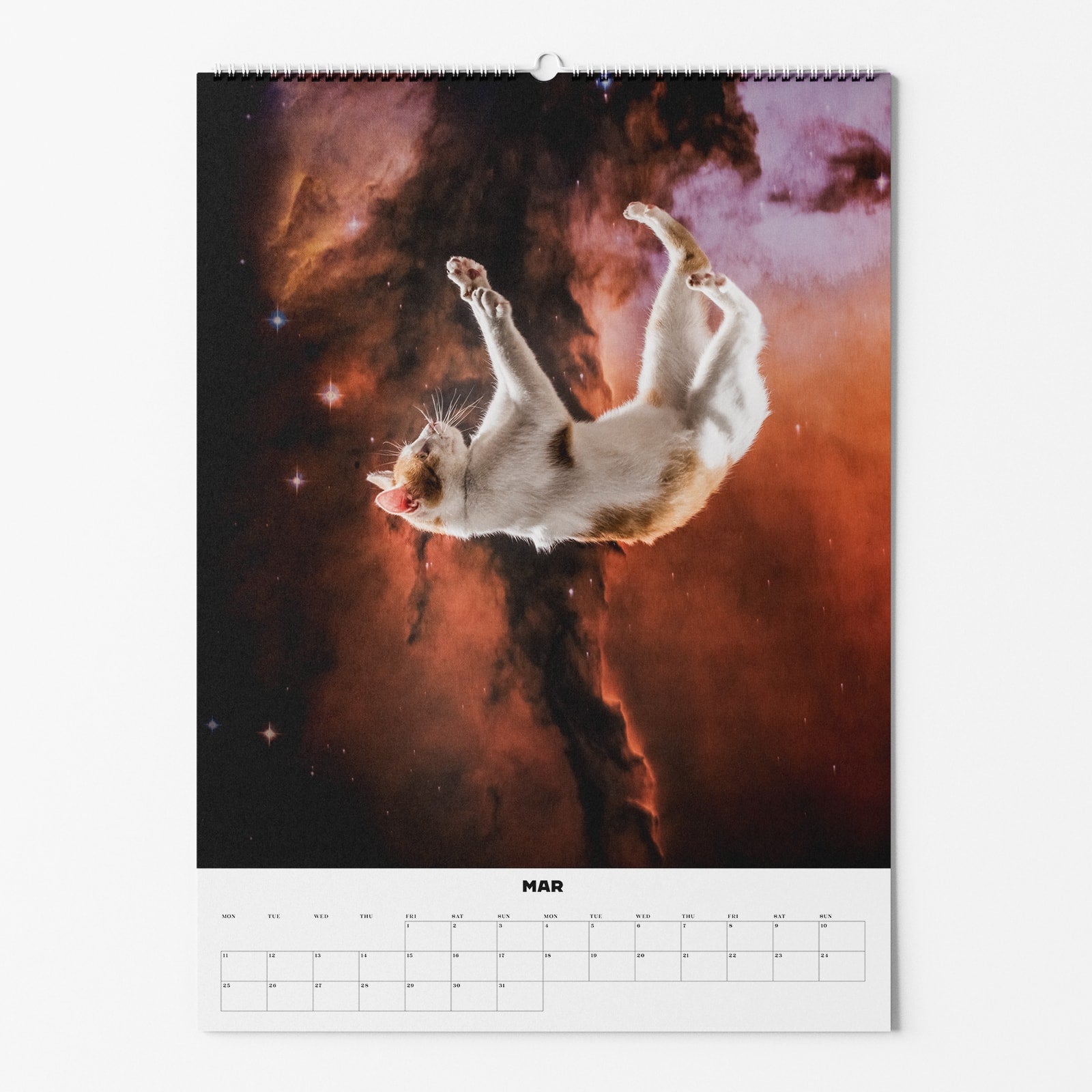 Kalenderblatt für März mit einer schwebenden Katze vor einem bunten Weltraumnebel im Hintergrund.