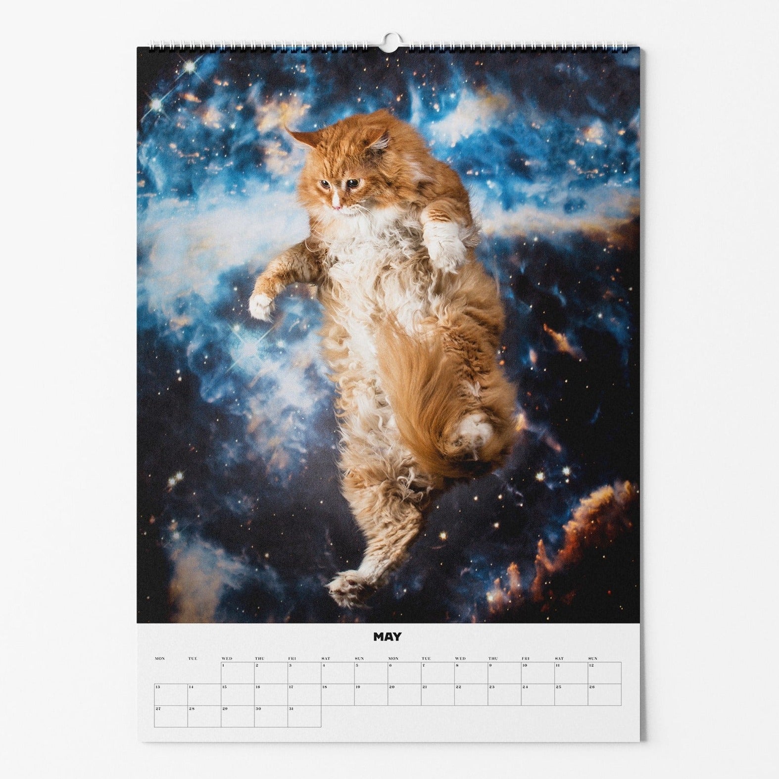Kalenderbild von einer flauschigen Katze schwebend im Weltraum, umgeben von leuchtenden Nebeln und Sternen.