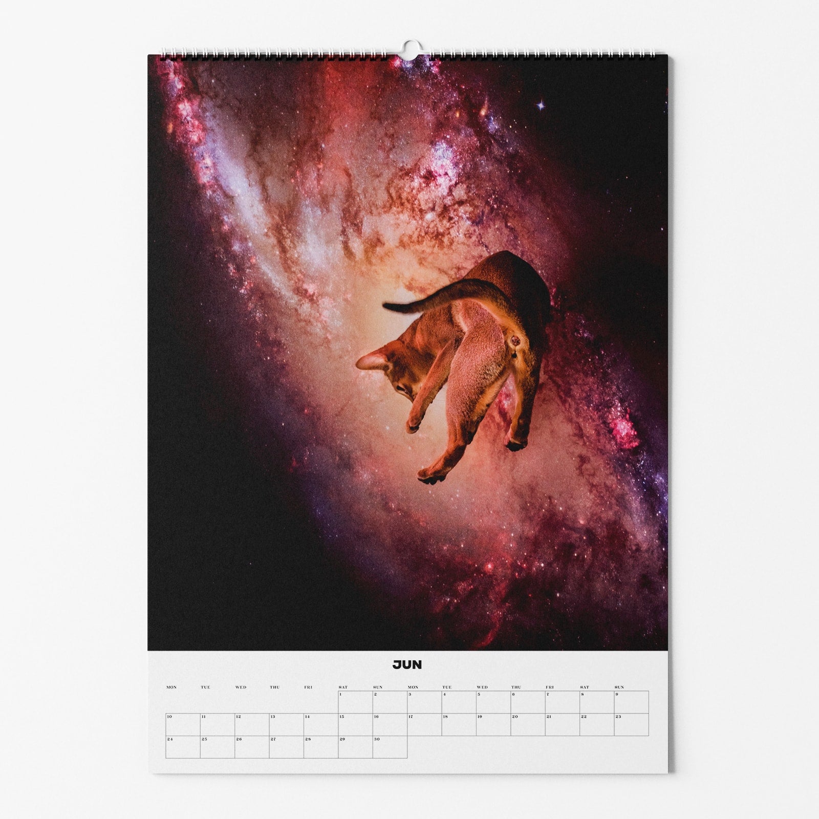 Kalenderblatt für Juni mit einer Katze, die im Weltraum mit einer farbenfrohen Galaxie im Hintergrund springt.