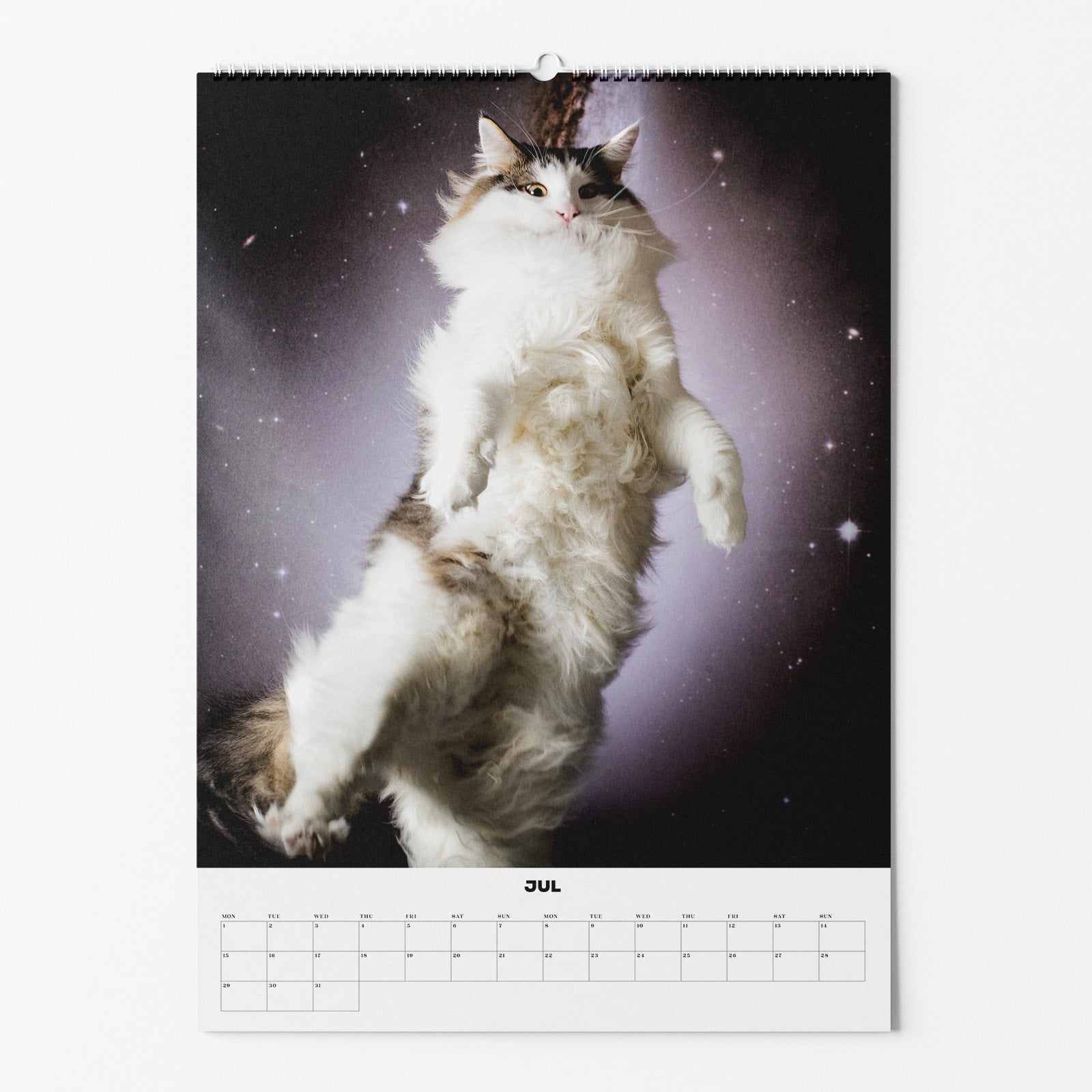 Kalenderblatt zeigt eine Katze in Schwerelosigkeit mit Galaxie-Hintergrund; unten ist der Monat Juli sichtbar.