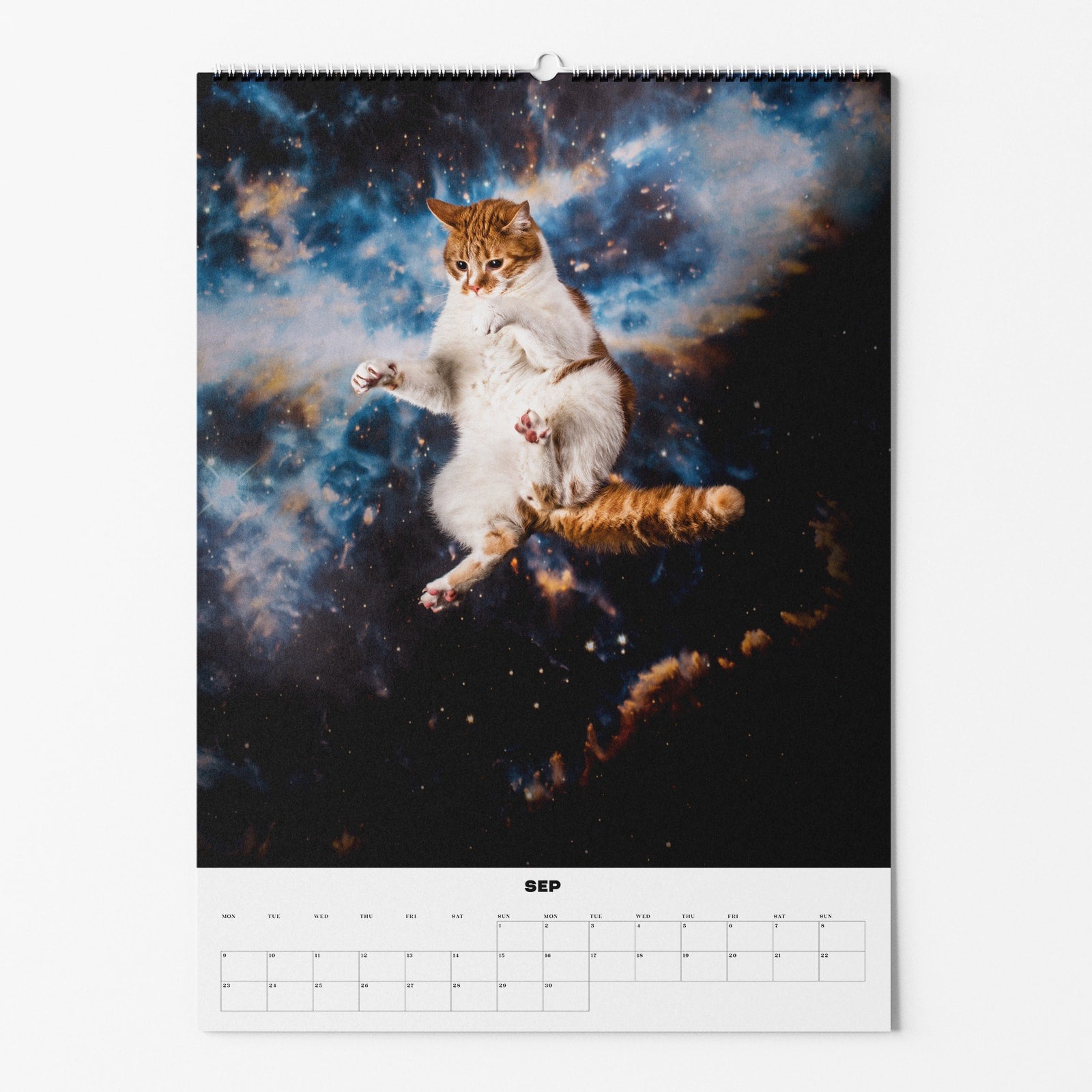 Kalenderblatt mit einer schwebenden Katze vor kosmischem Hintergrund, darunter der Monat September.