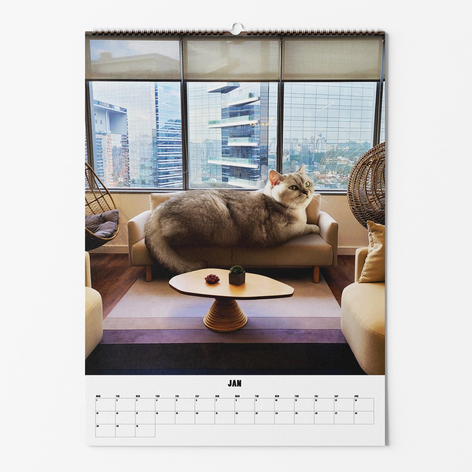 Selekkt "CATS XXL" Fotokalender 2024