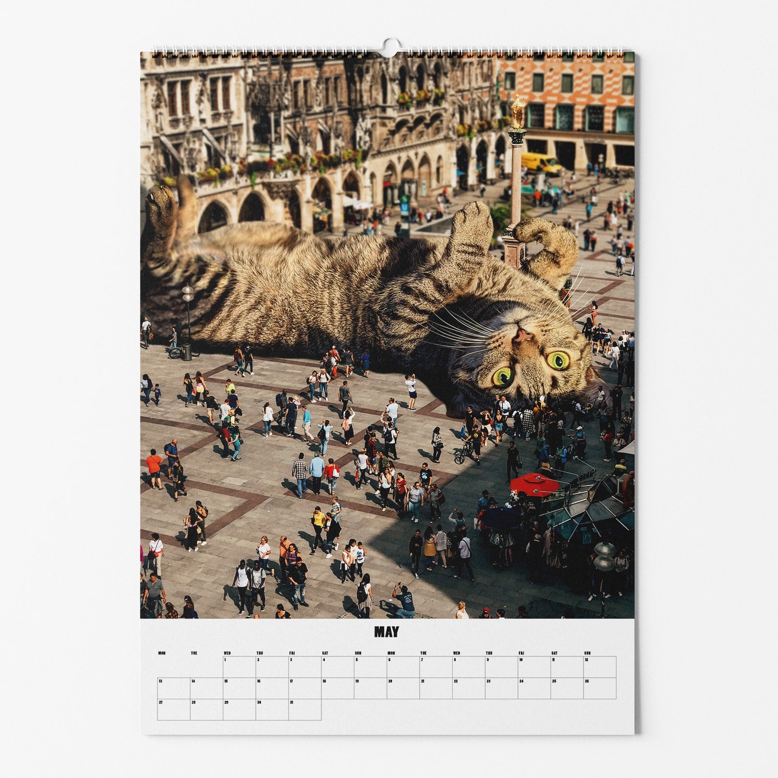 Selekkt "CATS XXL" Fotokalender 2024