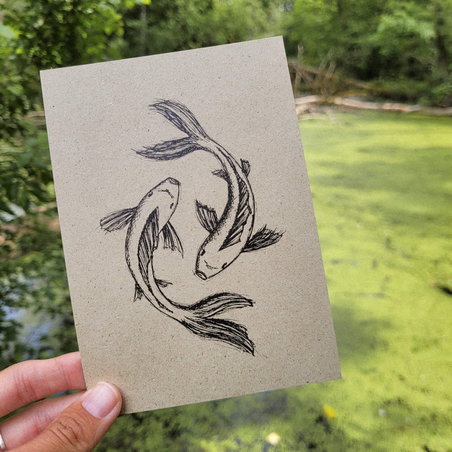 Eine Hand hält eine Karte, auf der mit schwarzer Tinte zwei Koi-Fische gezeichnet sind, die in einem Kreis schwimmen, während im Hintergrund ein mit grünen Algen bewachsener und von Bäumen umgebener Teich zu sehen ist.