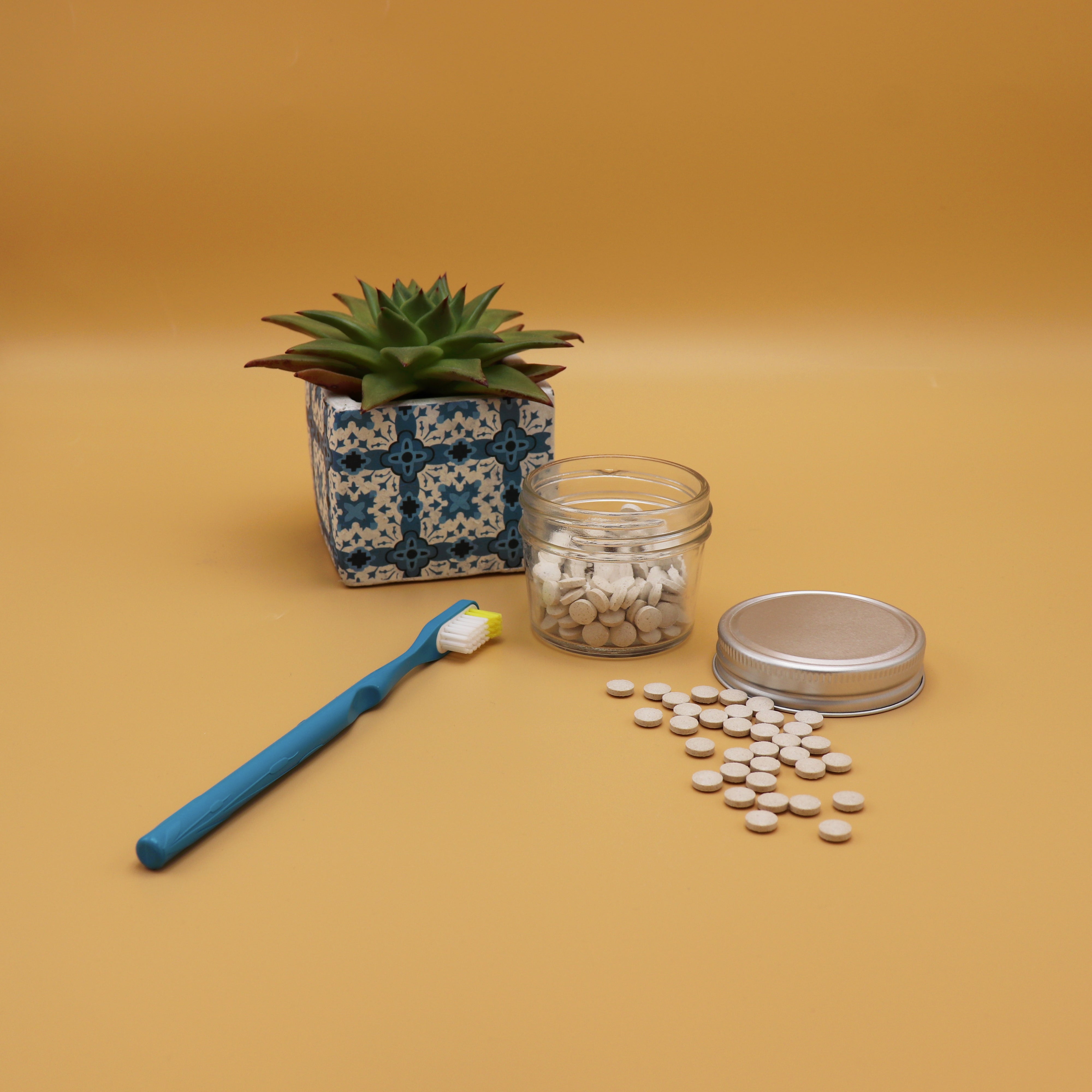 Eine Sukkulente in einem Topf, ein Glas mit Tabletten und eine Zahnbürste auf einem orangefarbenen Hintergrund.