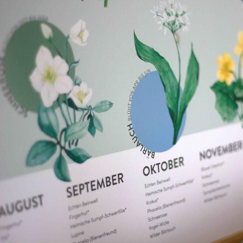 4peoplewhocare Saisonkalender Wildblumen für Aussat und Blüte A2
