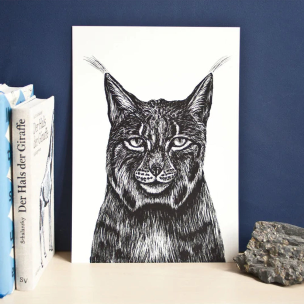 Eine Schwarz-Weiß-Abbildung eines Luchses mit auffälligen Ohrbüscheln steht aufrecht an einer dunkelblauen Wand, neben einem Buch und einem zerklüfteten grauen Felsen.