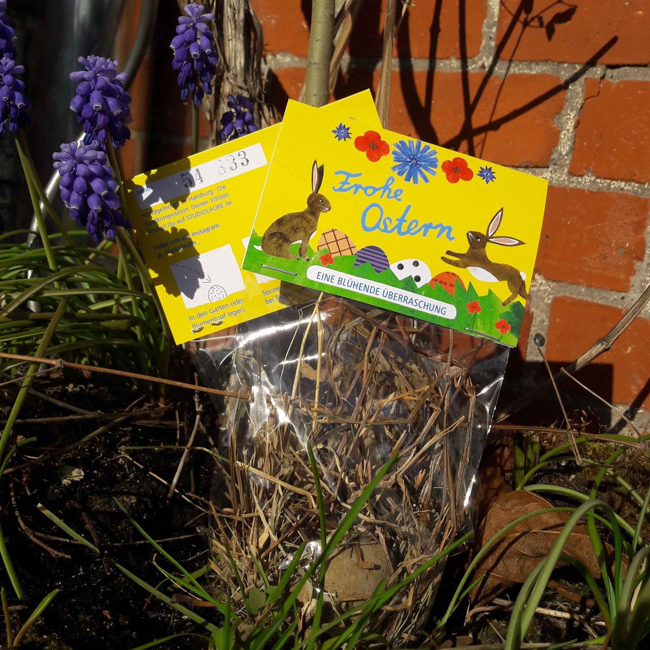 Ein kleines Ostergeschenk mit einer gelben Karte, auf der Hasen und Eier abgebildet sind, und der Aufschrift Frohe Ostern wird im Freien in Gras und Erde in der Nähe von lila Blumen und einer Backsteinmauer platziert.
