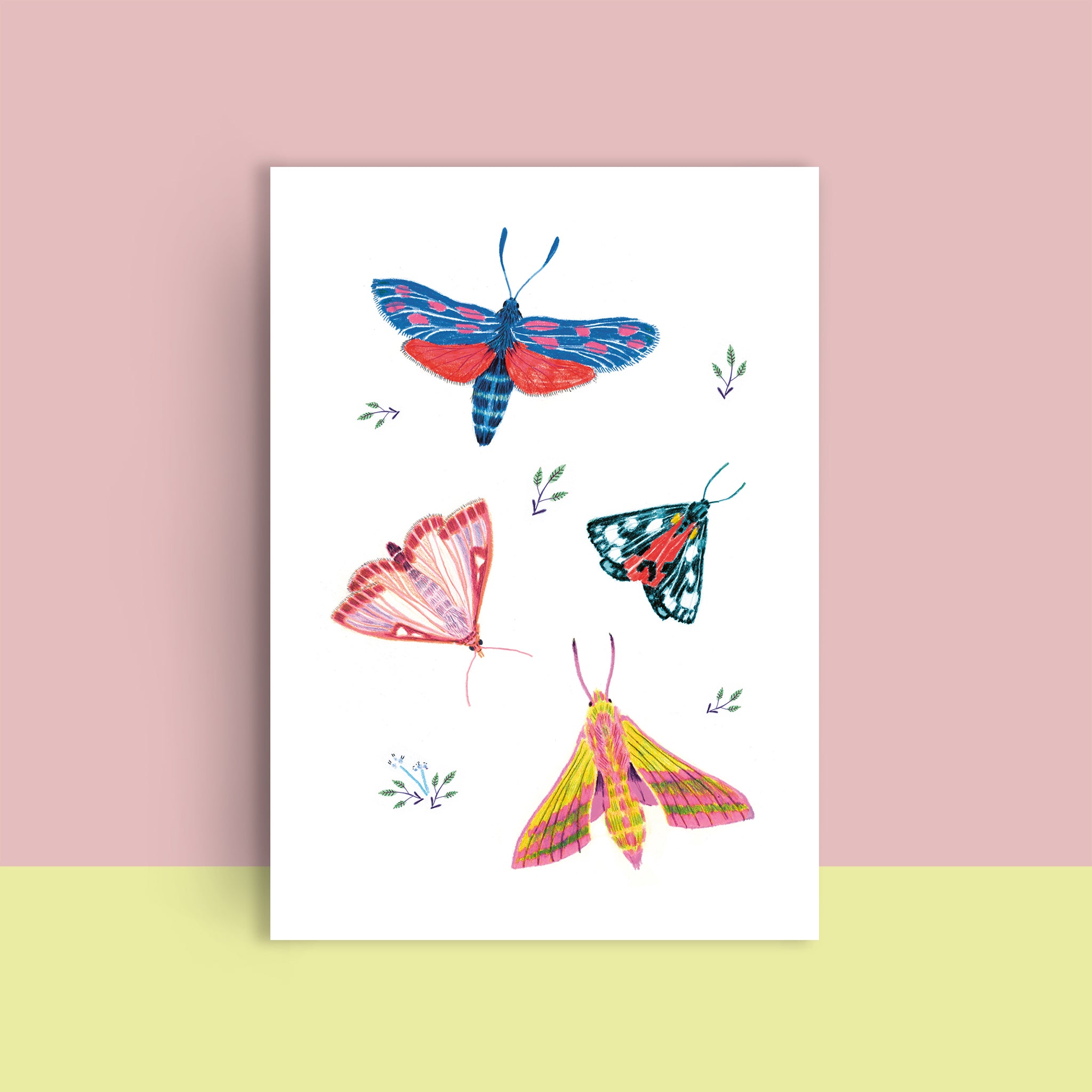 Illustration von vier bunten Schmetterlingen auf weißem Hintergrund mit kleinen grünen Zweigen.