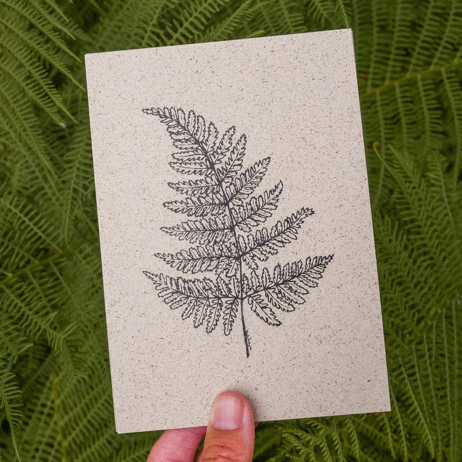 Eine Hand hält eine beigefarbene Karte mit einer schwarzen Strichzeichnung eines Farnblatts vor einem Hintergrund aus echten grünen Farnblättern.