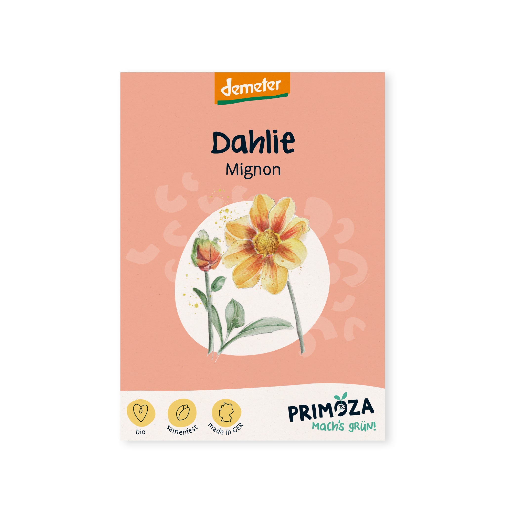 PRIMOZA Bio*-Saatgut Dahlie