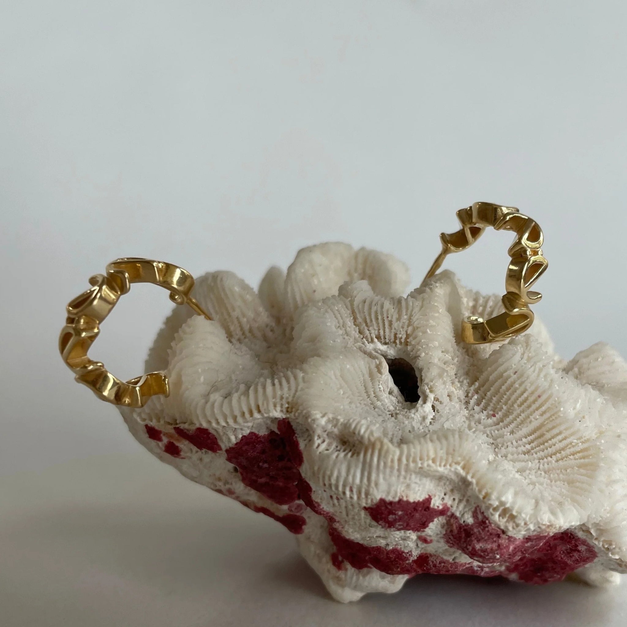 noemvri fashion label Ohrringe "Logo Ear Hoops Small" Gold